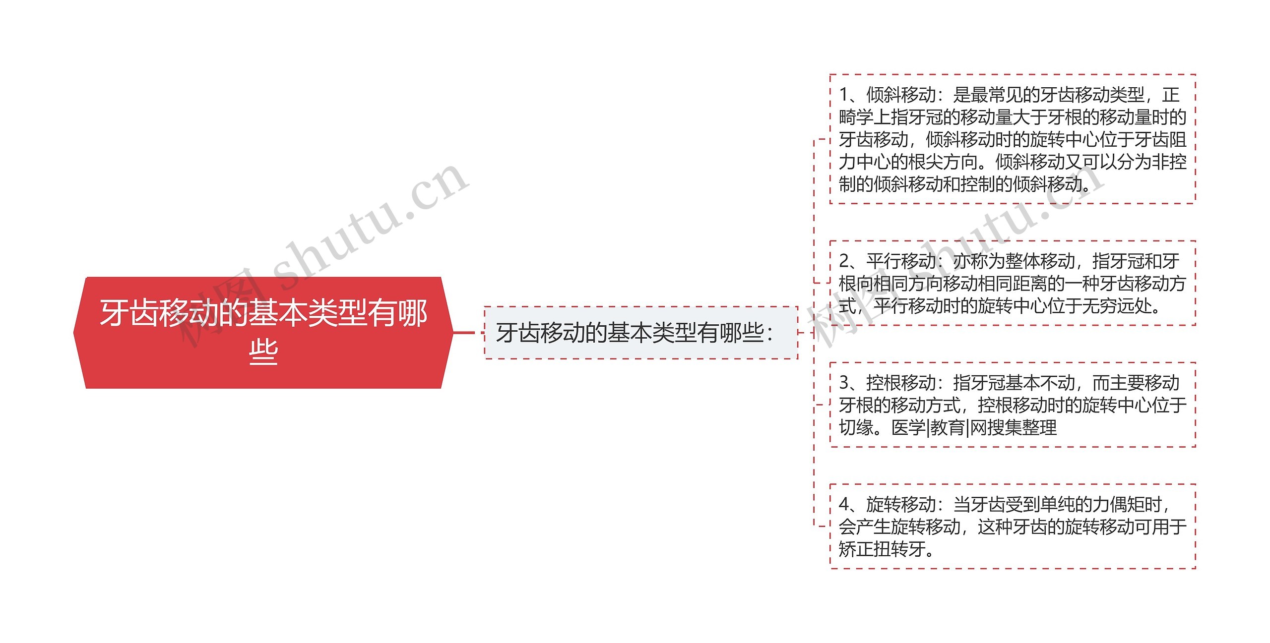 牙齿移动的基本类型有哪些思维导图