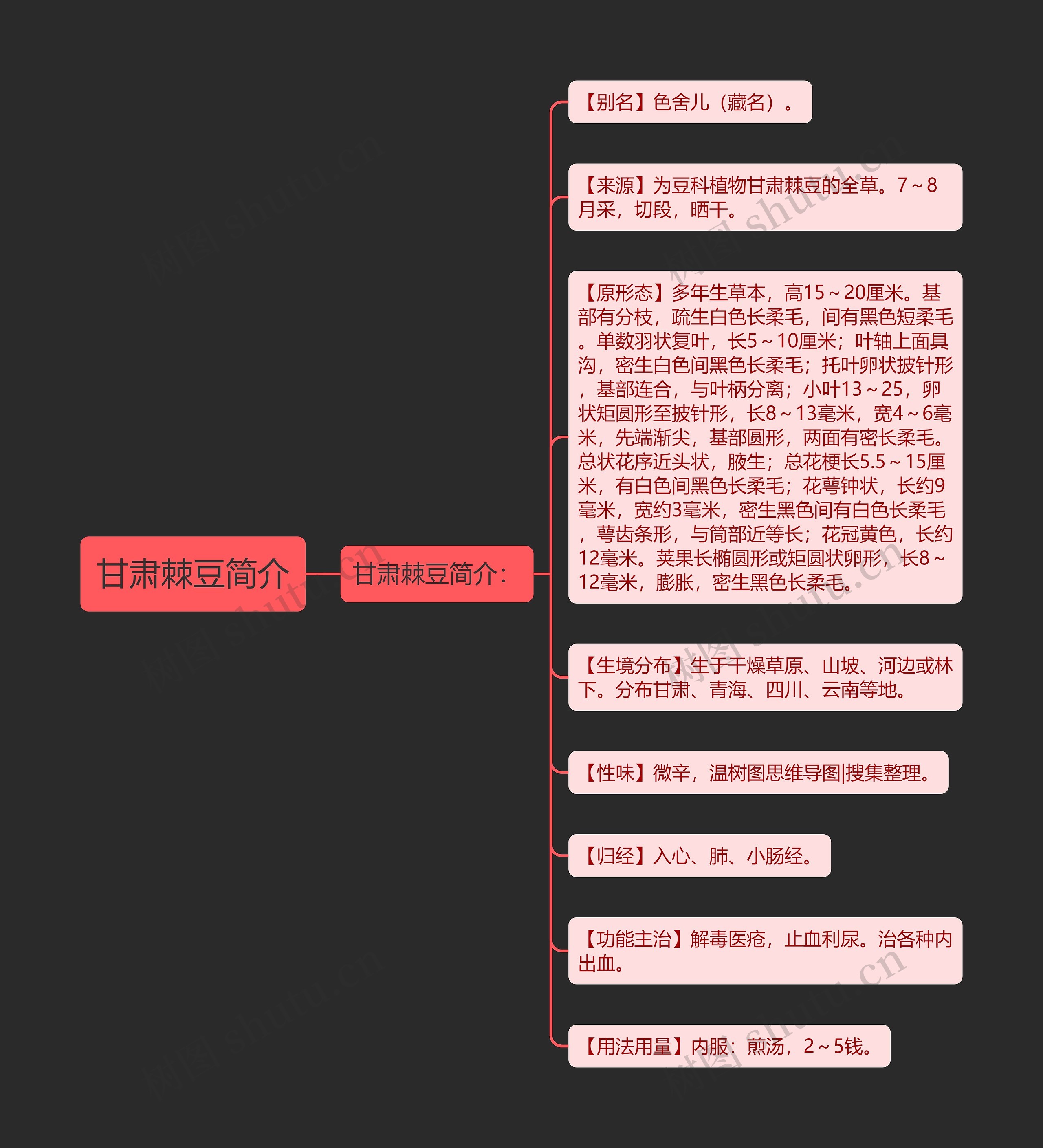 甘肃棘豆简介思维导图