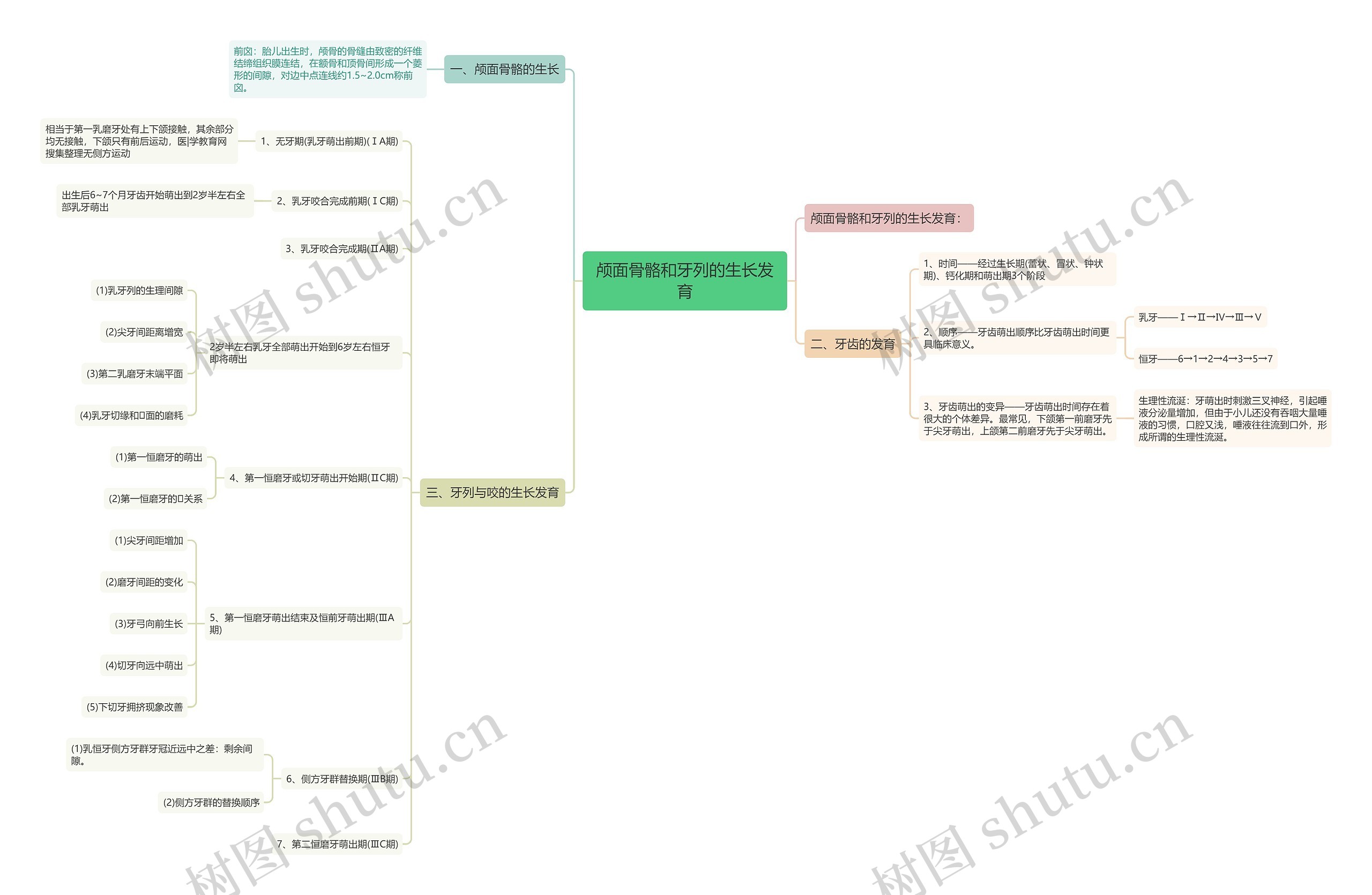 颅面骨骼和牙列的生长发育思维导图