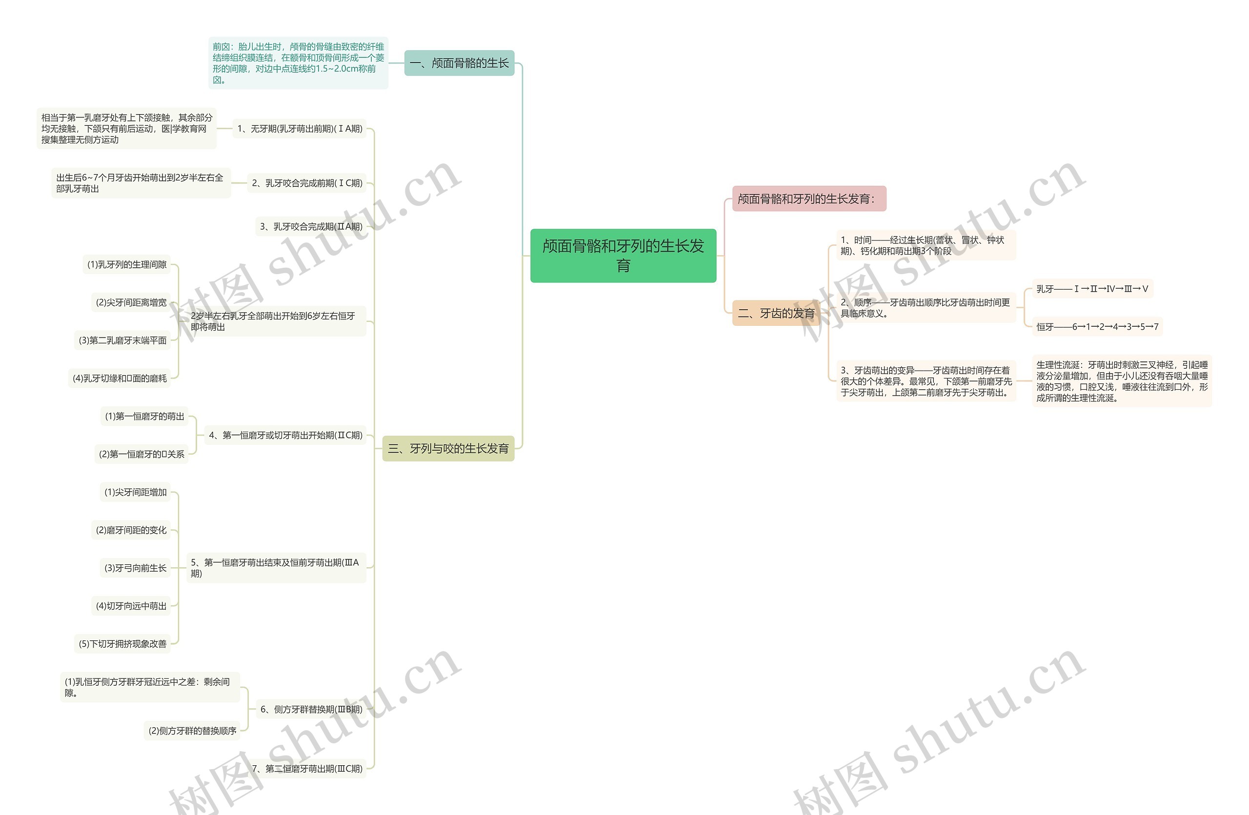颅面骨骼和牙列的生长发育 颅面骨骼和牙列的生长发育