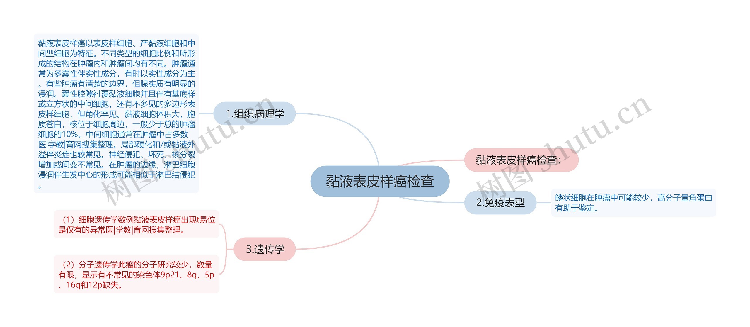 黏液表皮样癌检查思维导图