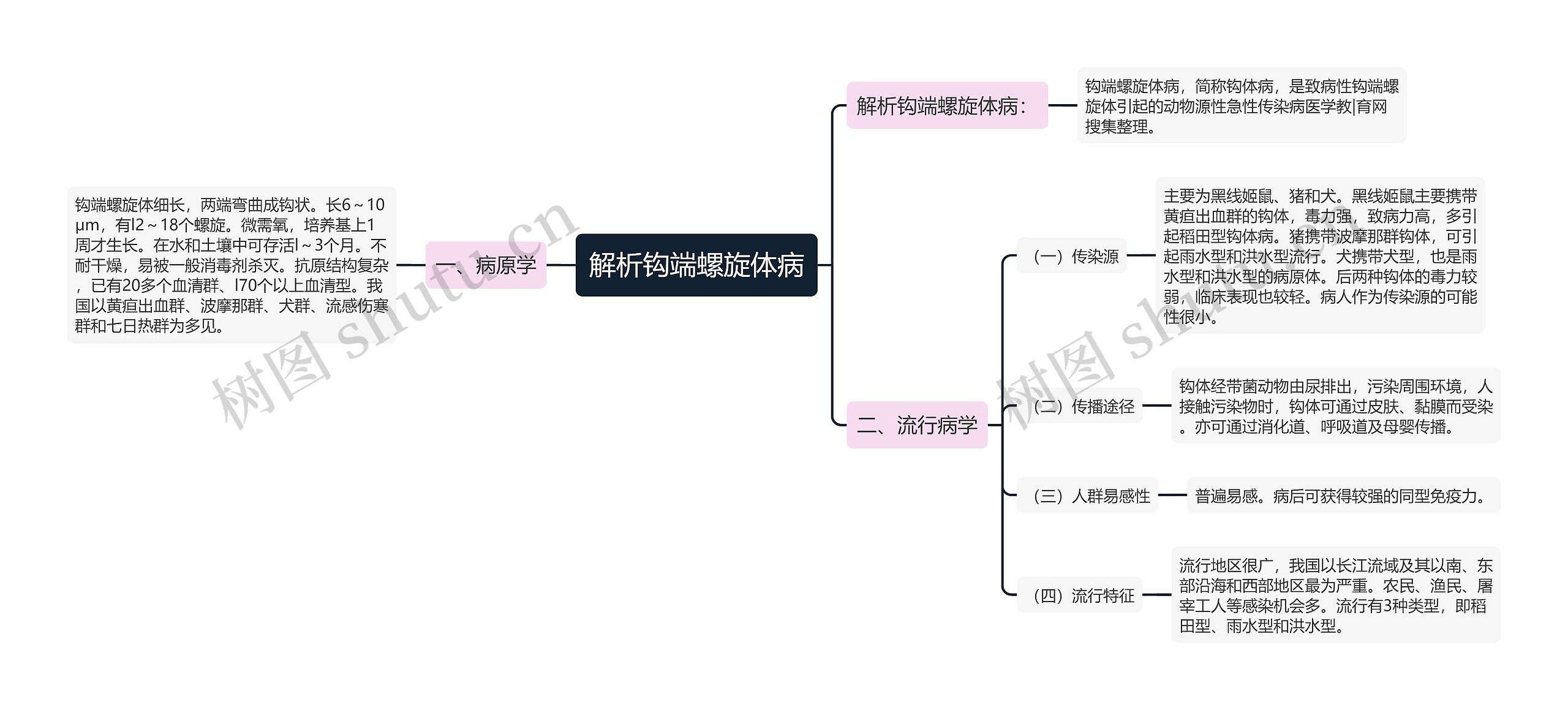 解析钩端螺旋体病思维导图