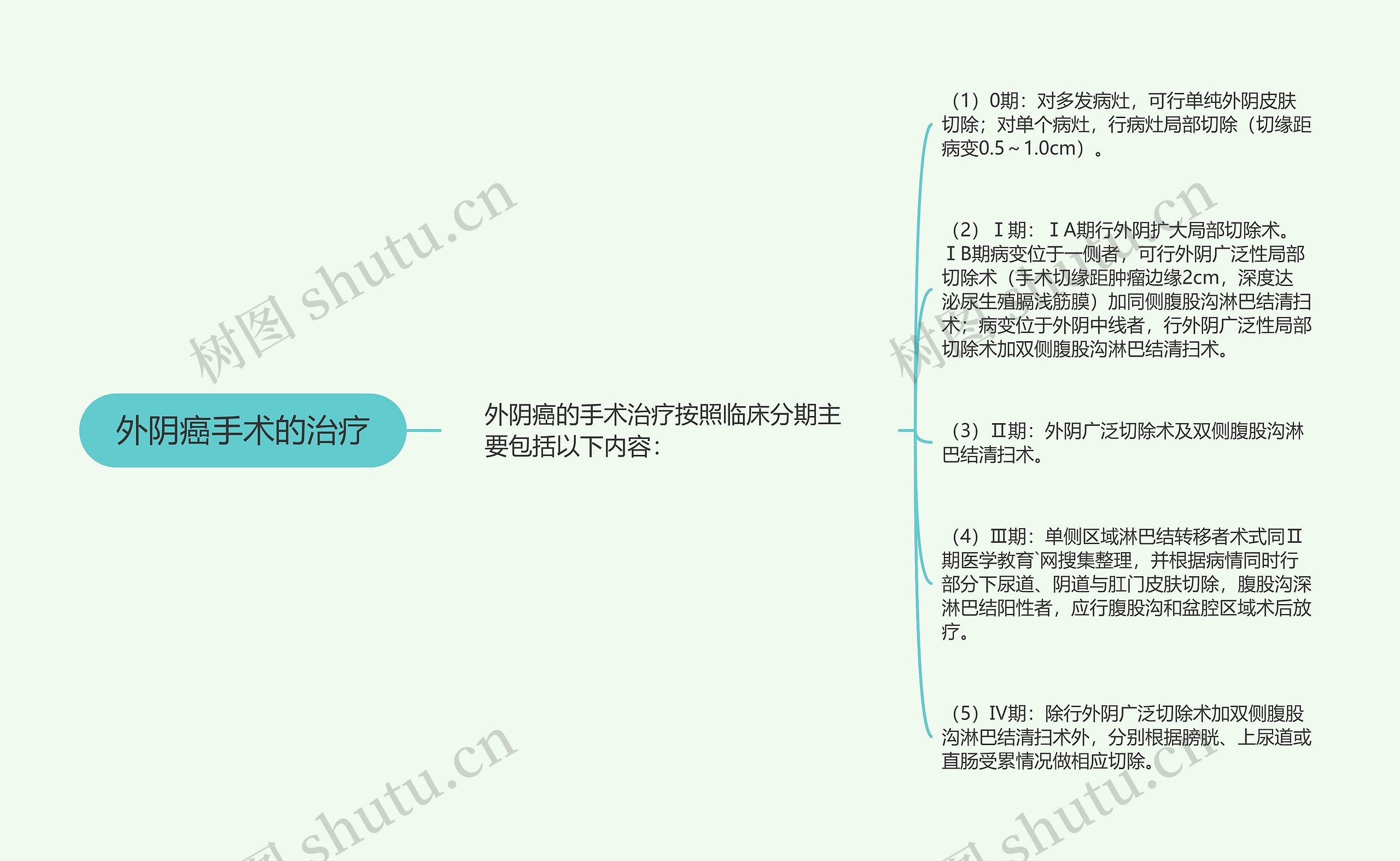 外阴癌手术的治疗思维导图