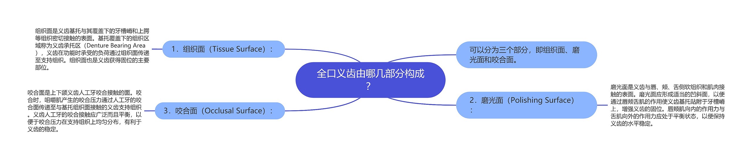 全口义齿由哪几部分构成？思维导图