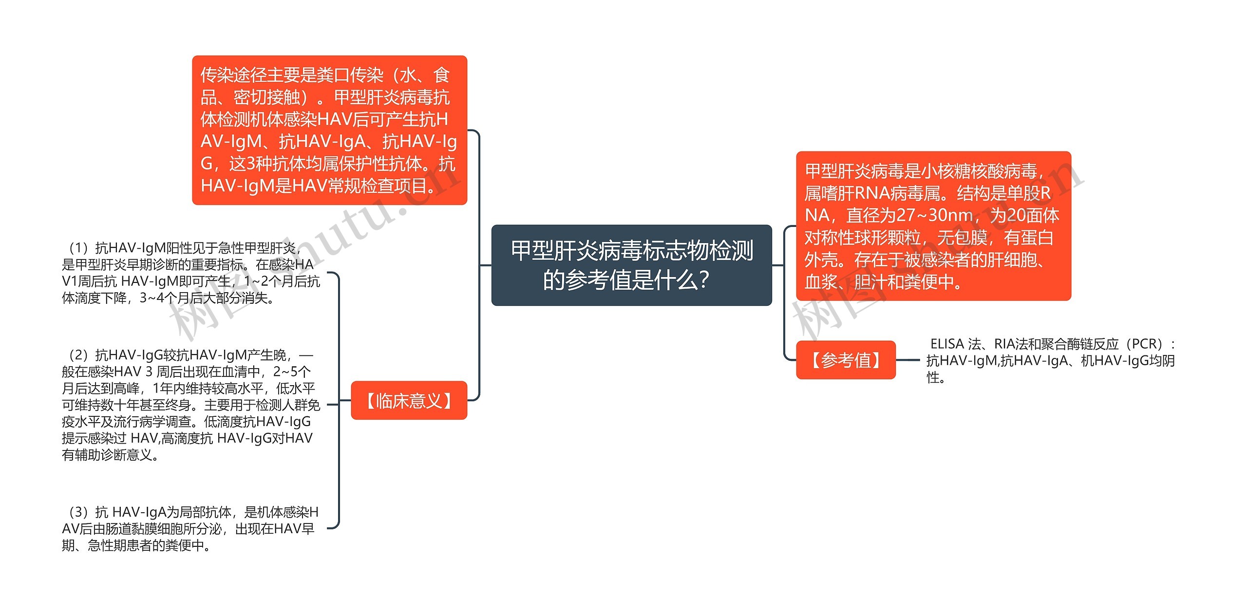 甲型肝炎病毒标志物检测的参考值是什么？