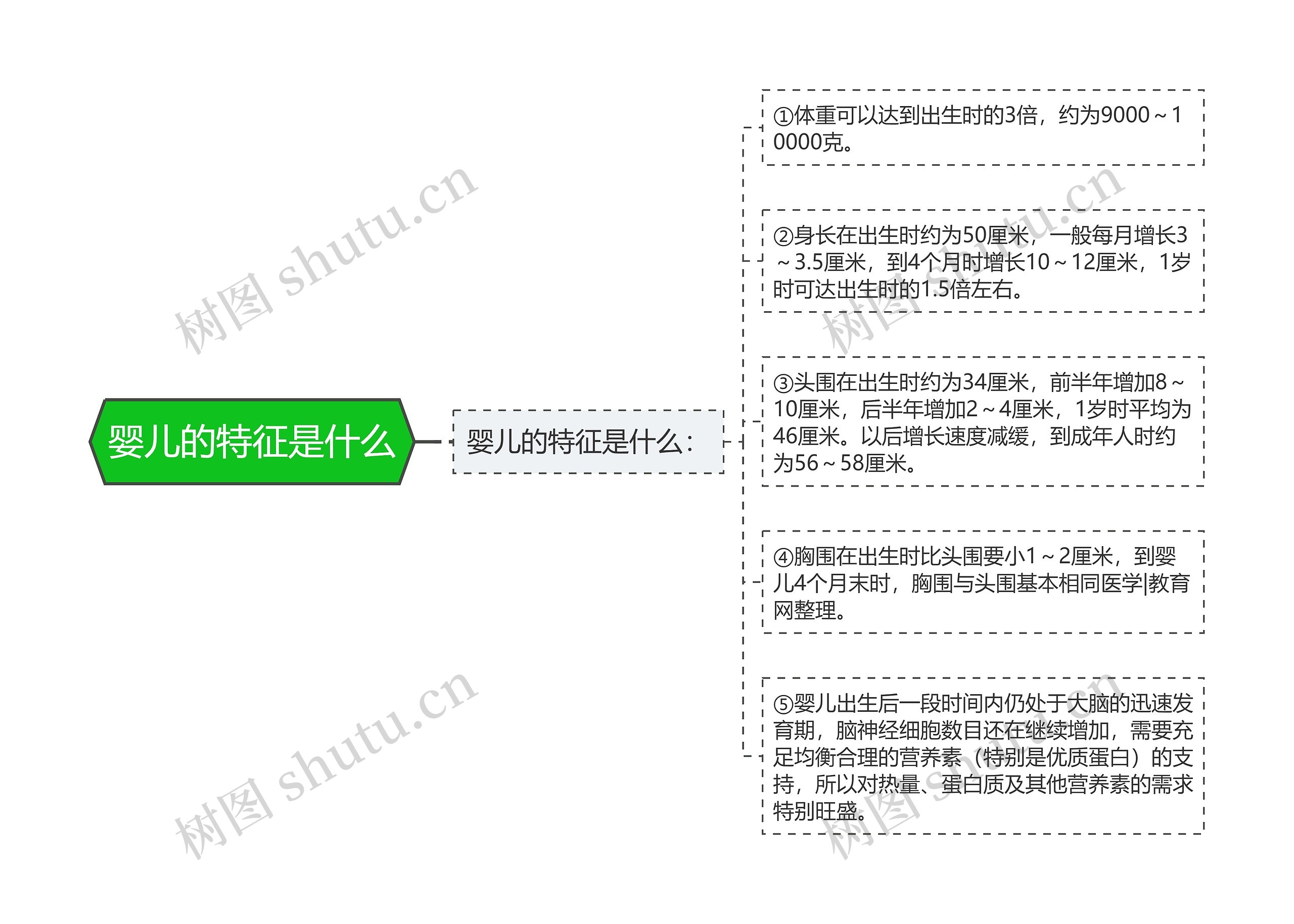 婴儿的特征是什么思维导图