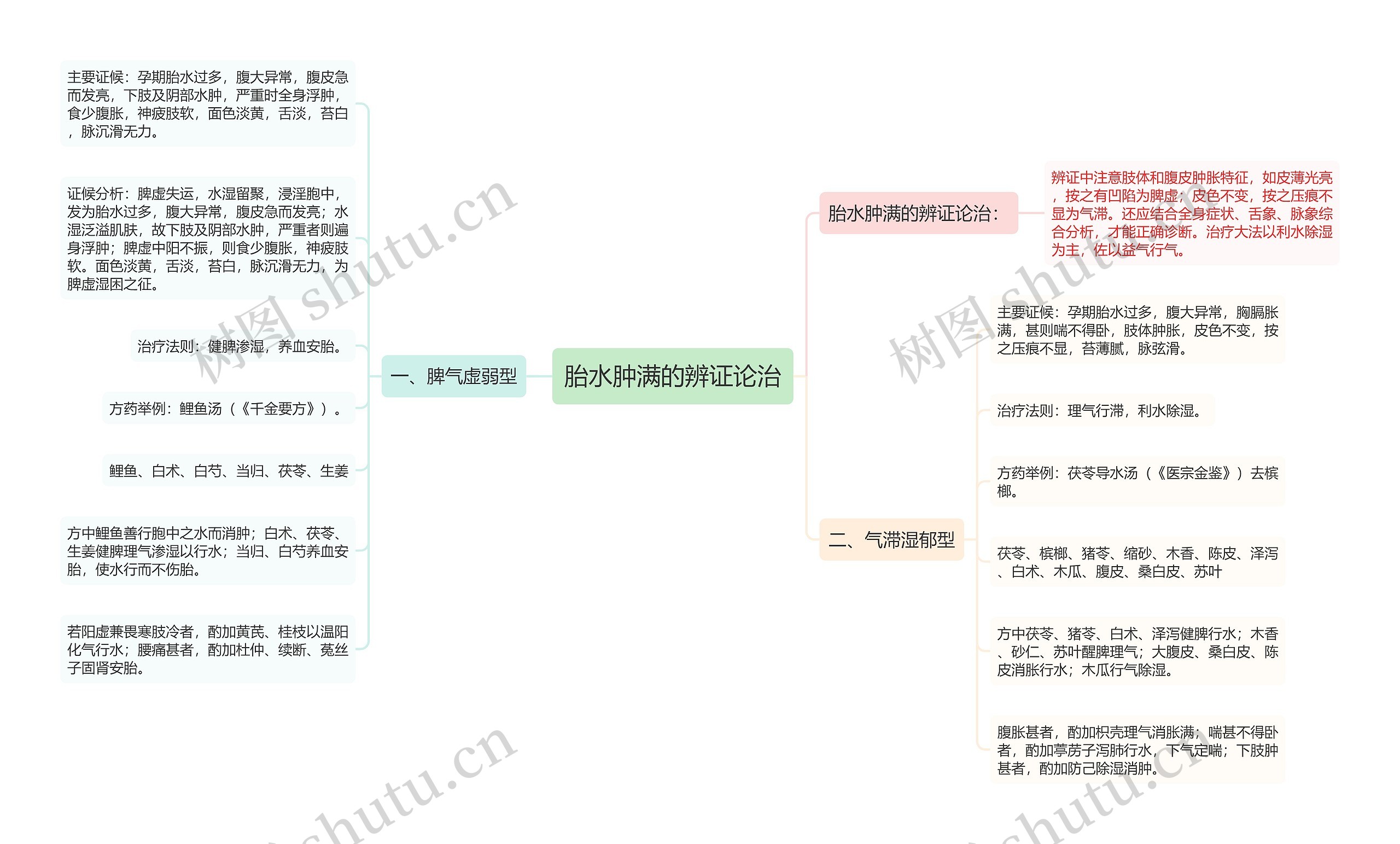 胎水肿满的辨证论治思维导图