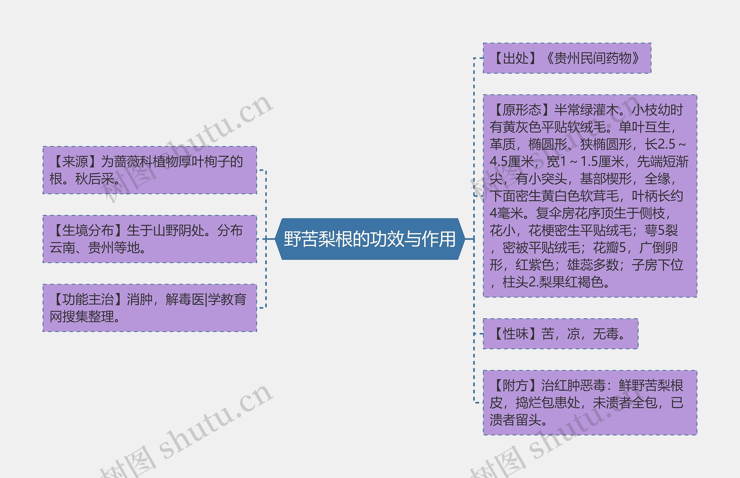 野苦梨根的功效与作用思维导图