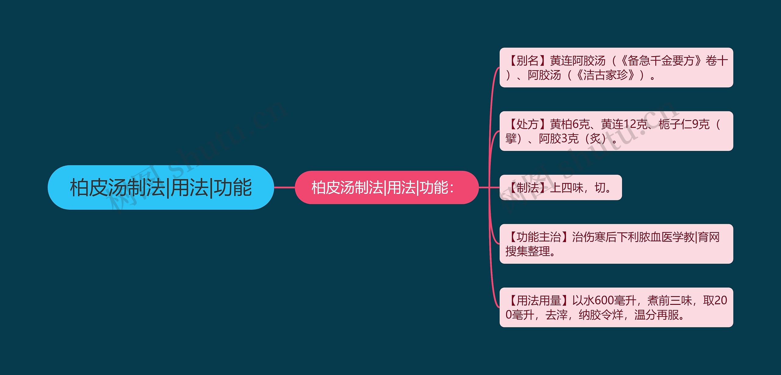 柏皮汤制法|用法|功能思维导图