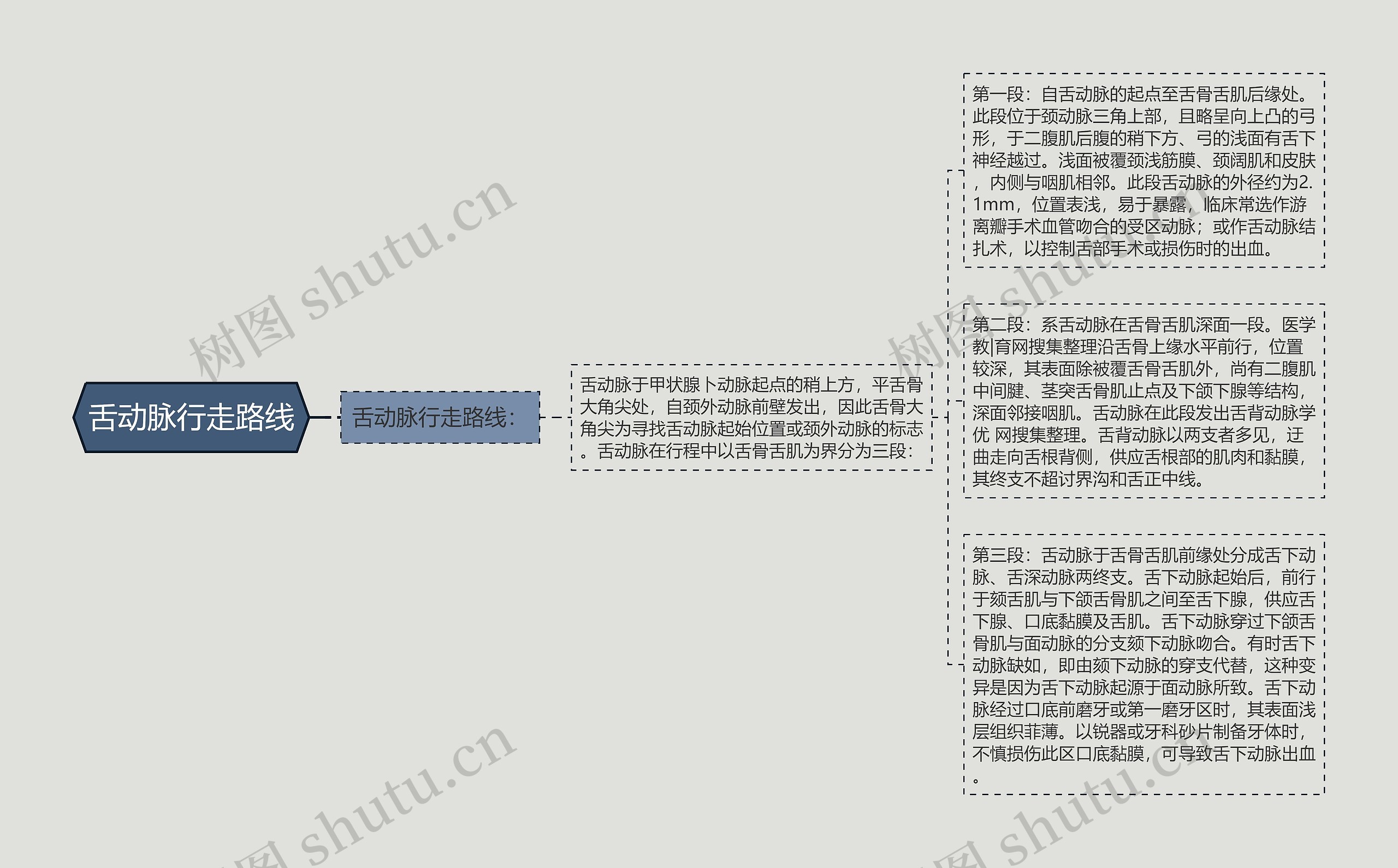 舌动脉行走路线思维导图