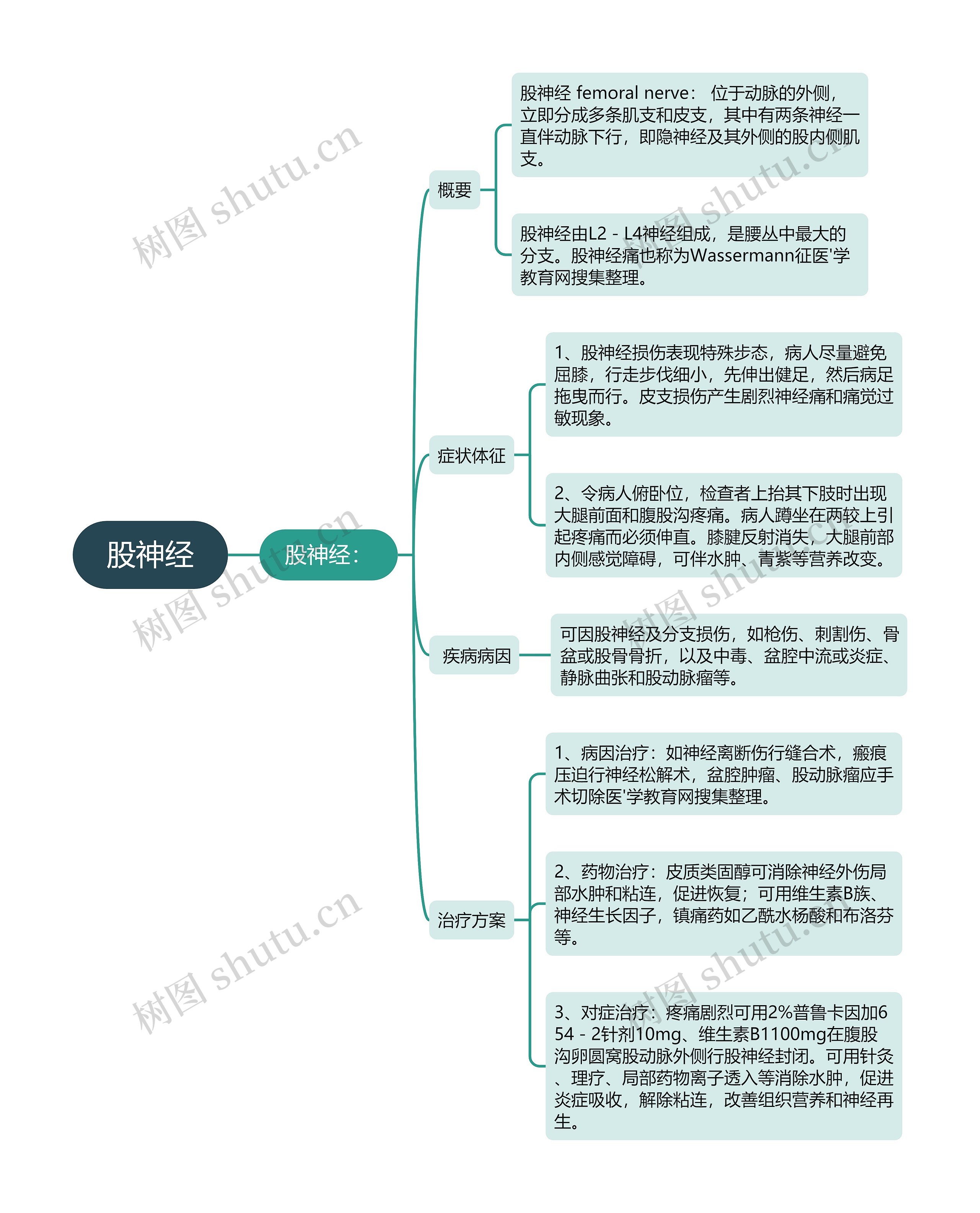 股神经思维导图