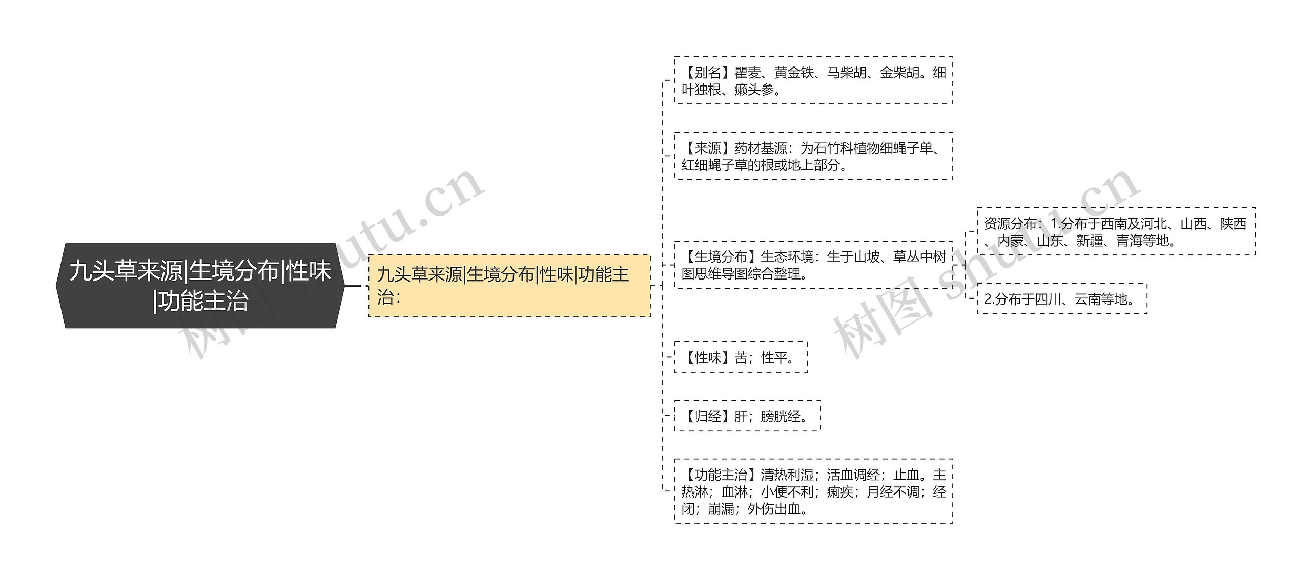 九头草来源|生境分布|性味|功能主治