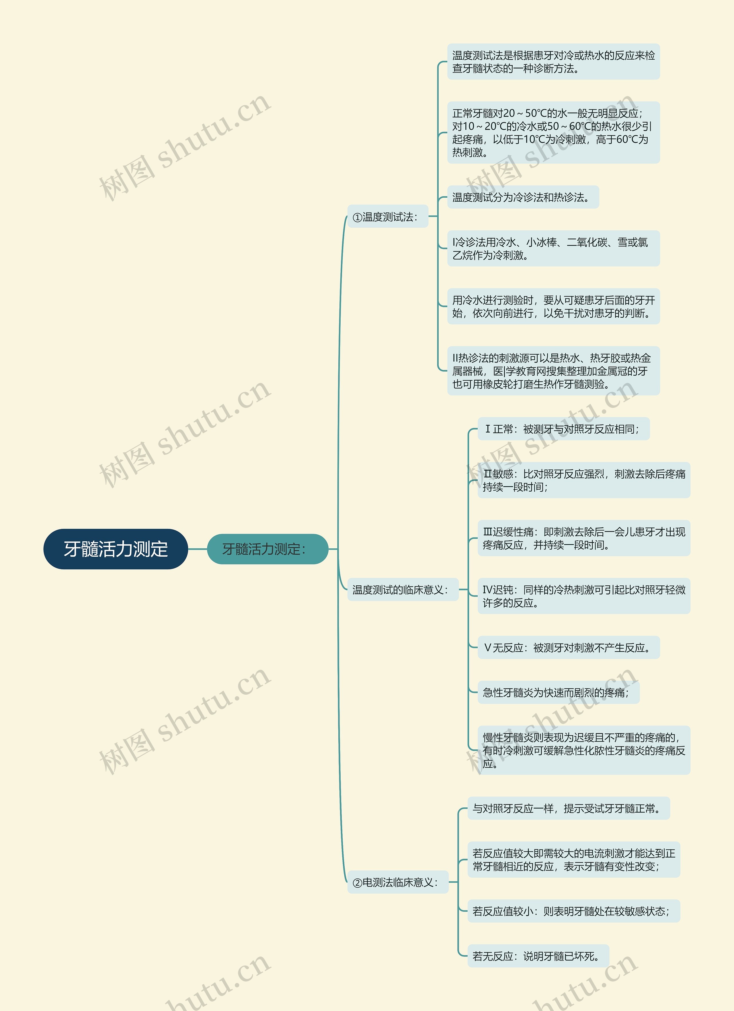 牙髓活力测定 牙髓活力测定
