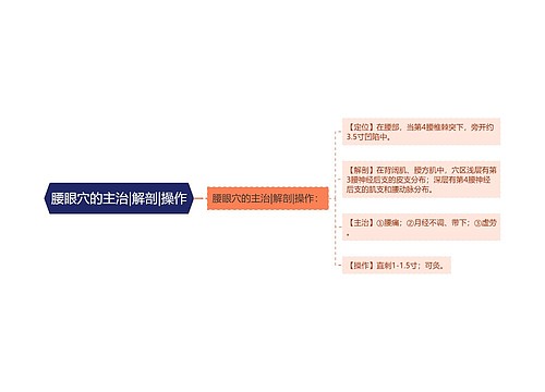 腰眼穴的主治|解剖|操作