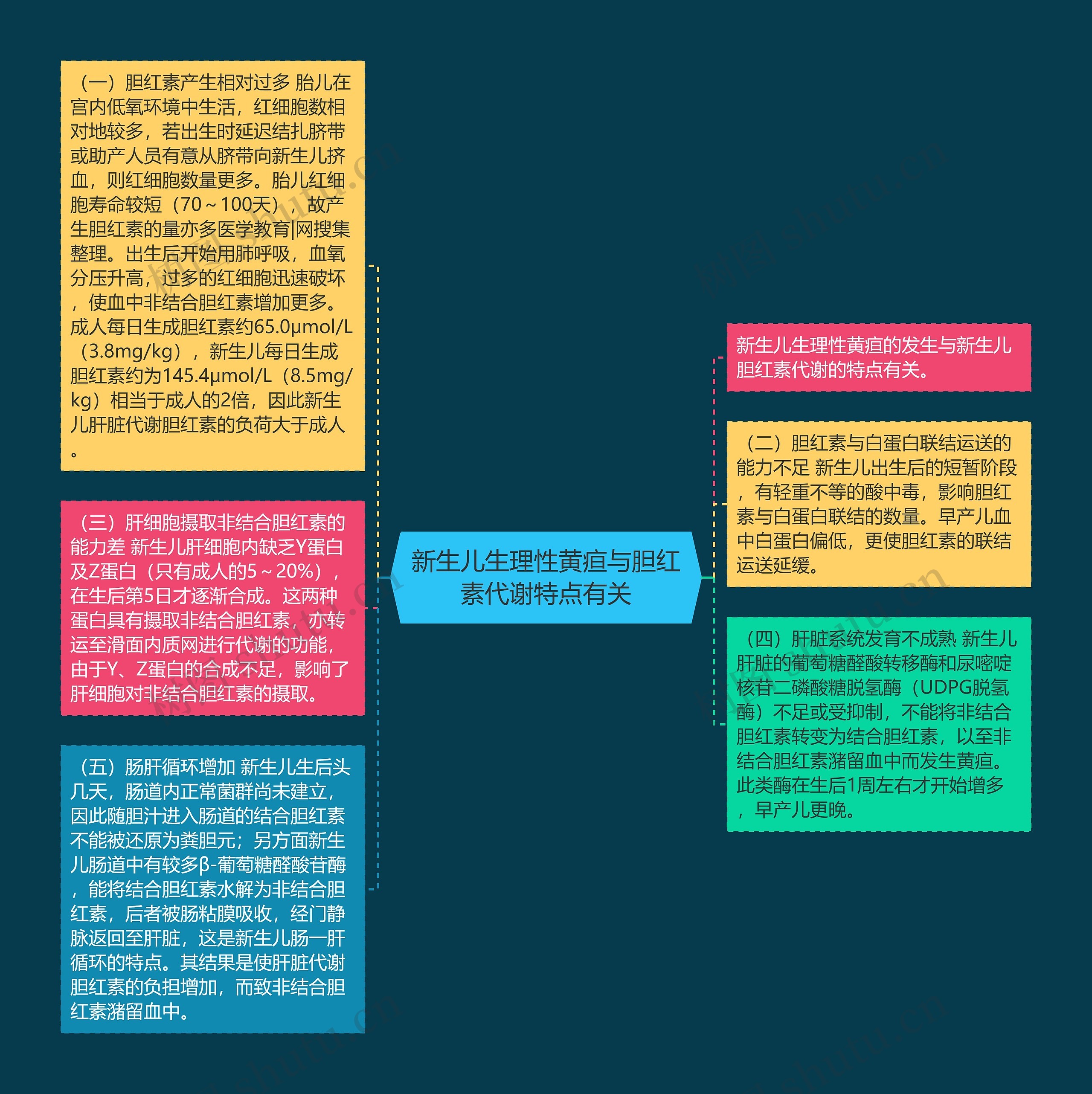 新生儿生理性黄疸与胆红素代谢特点有关