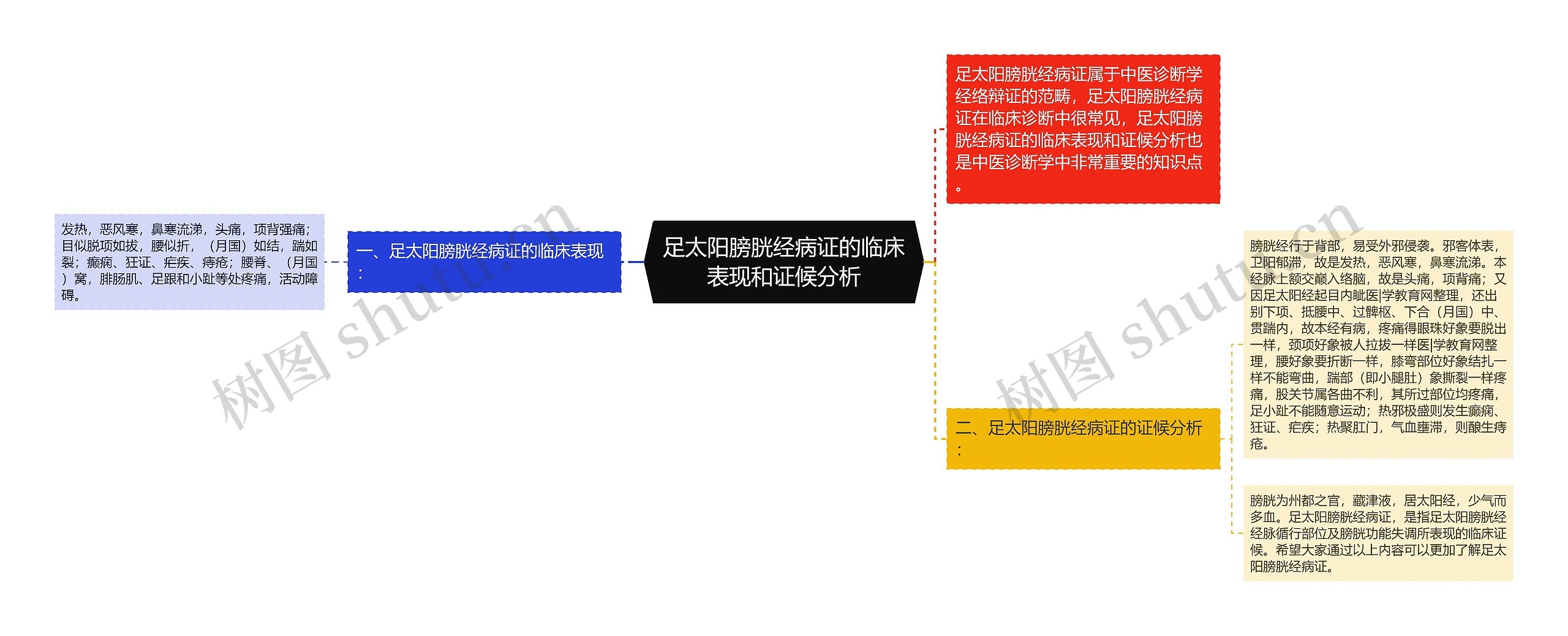 足太阳膀胱经病证的临床表现和证候分析思维导图