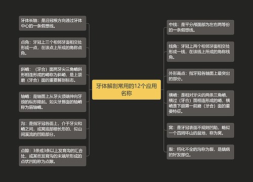 牙体解剖常用的12个应用名称