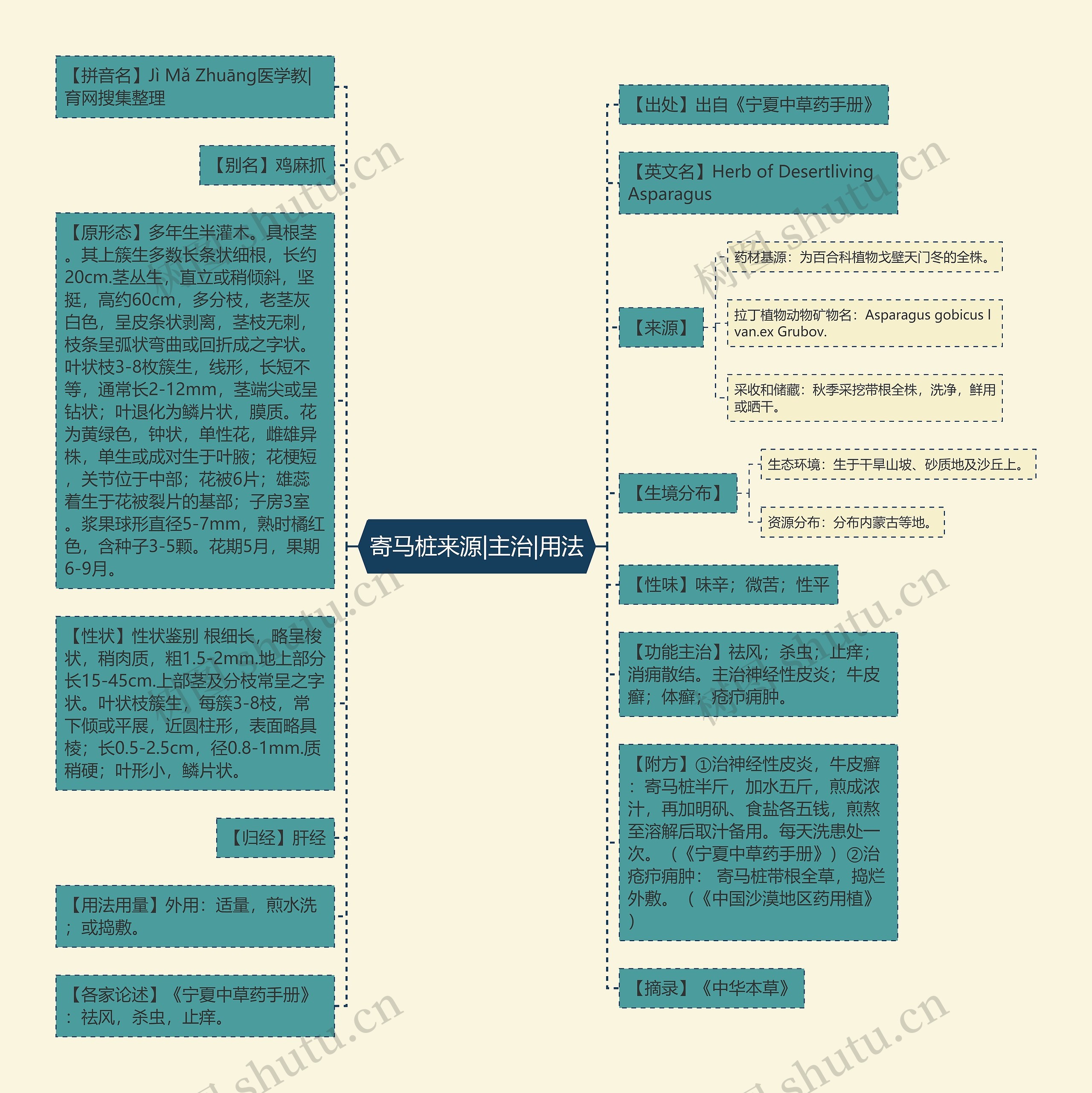 寄马桩来源|主治|用法思维导图