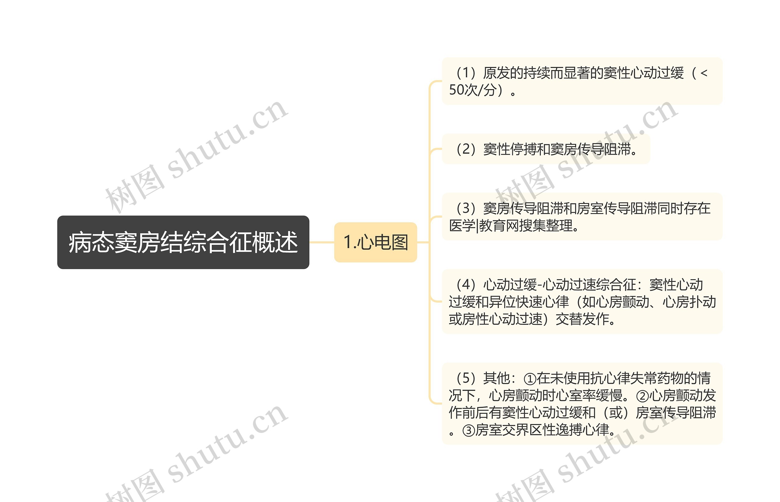 病态窦房结综合征概述