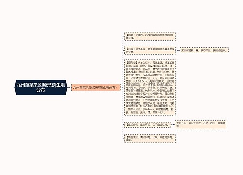 九州堇菜来源|原形态|生境分布