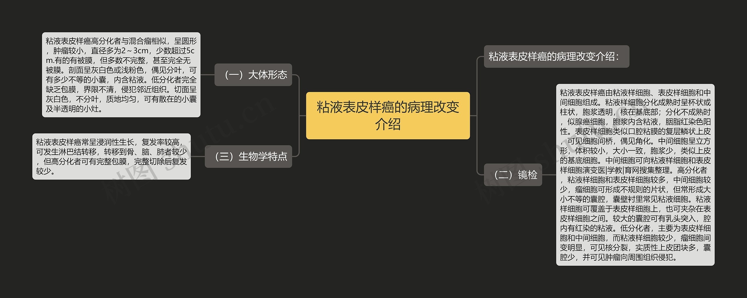 粘液表皮样癌的病理改变介绍 粘液表皮样癌的病理改变介绍