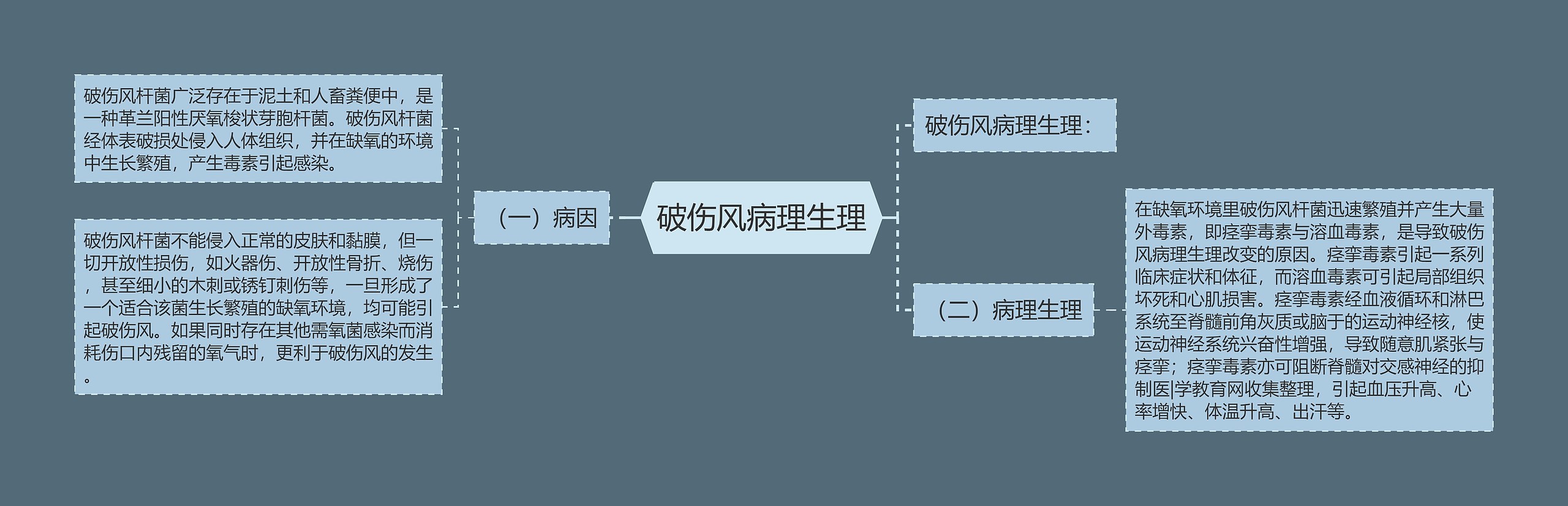 破伤风病理生理