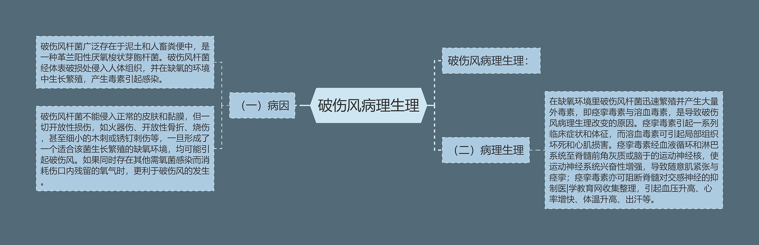 破伤风病理生理思维导图