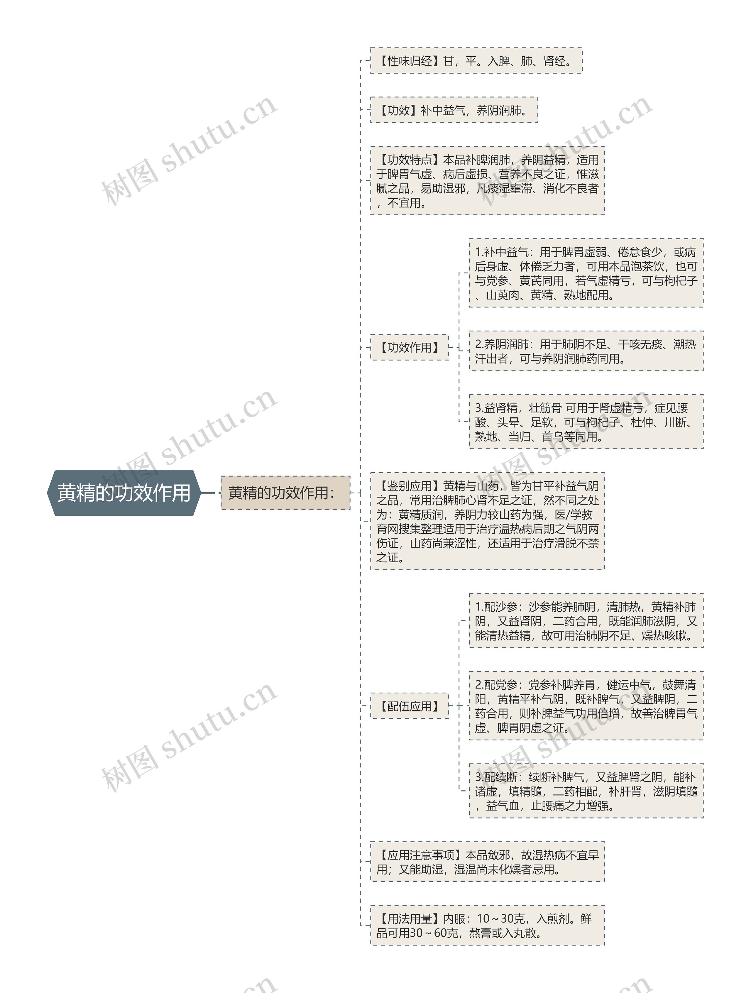 黄精的功效作用思维导图