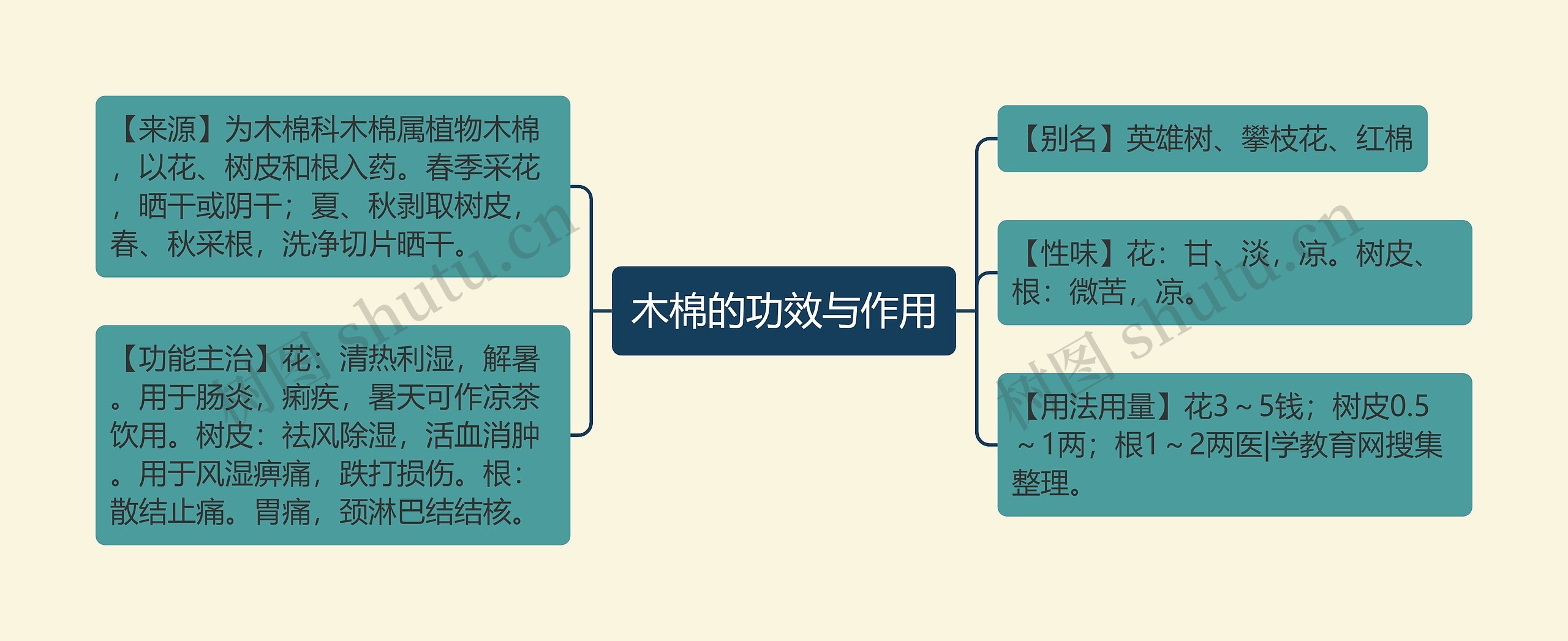 木棉的功效与作用思维导图