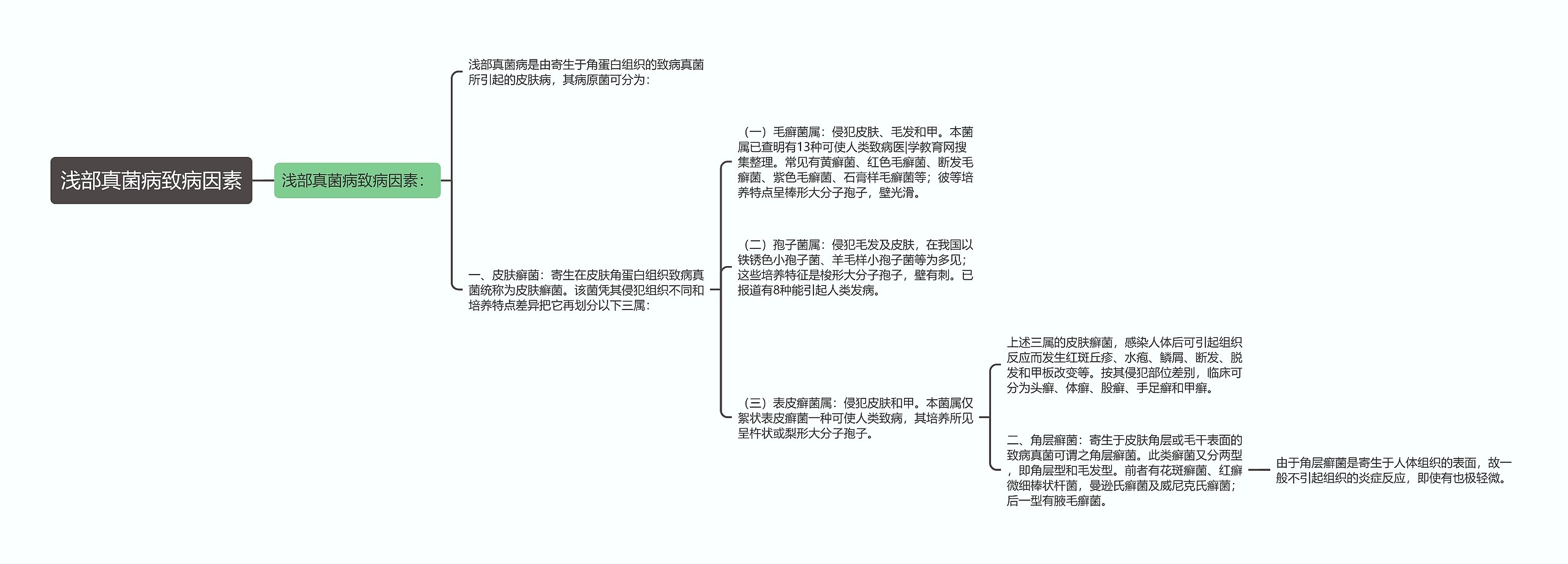 浅部真菌病致病因素思维导图