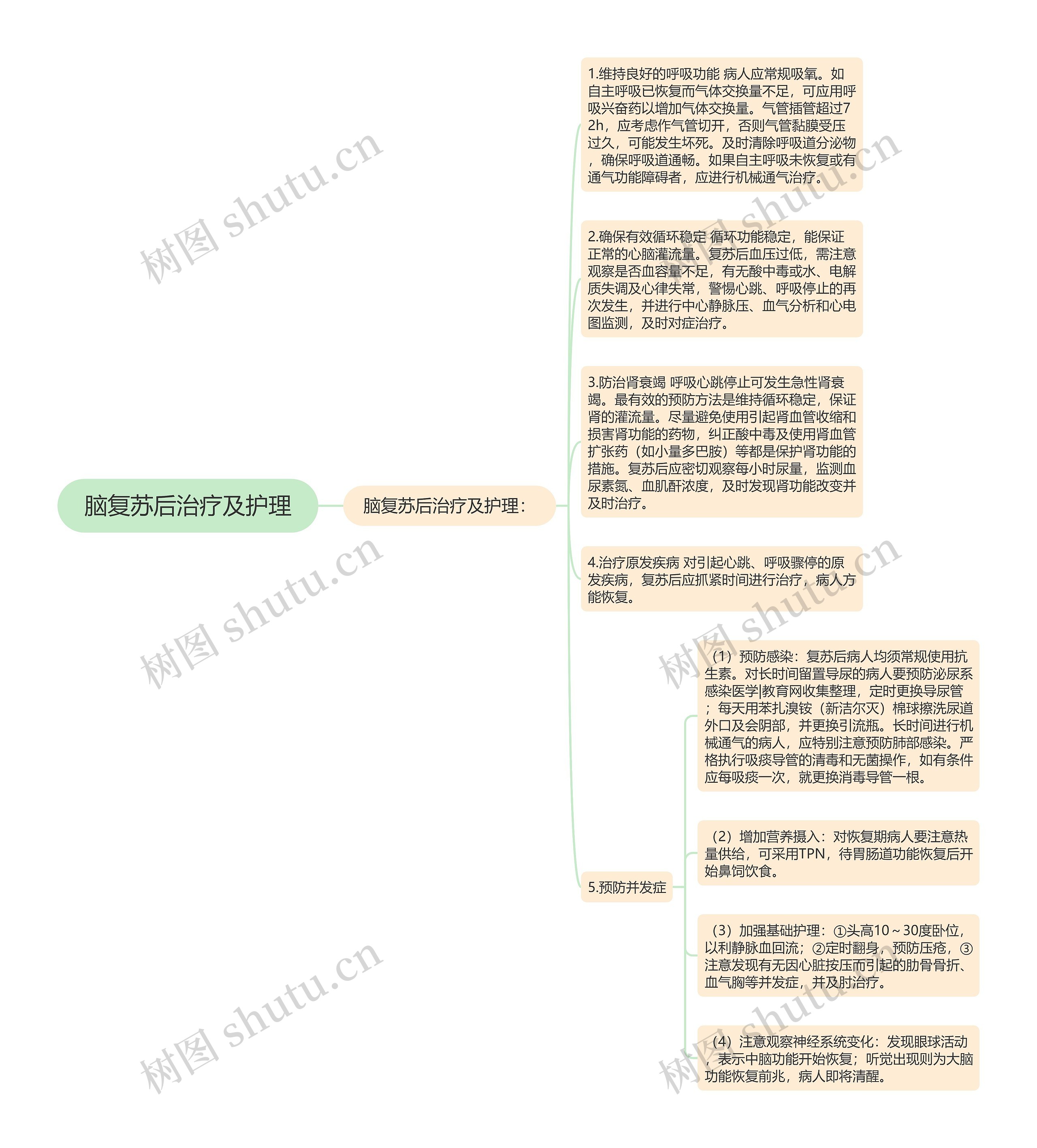 脑复苏后治疗及护理思维导图