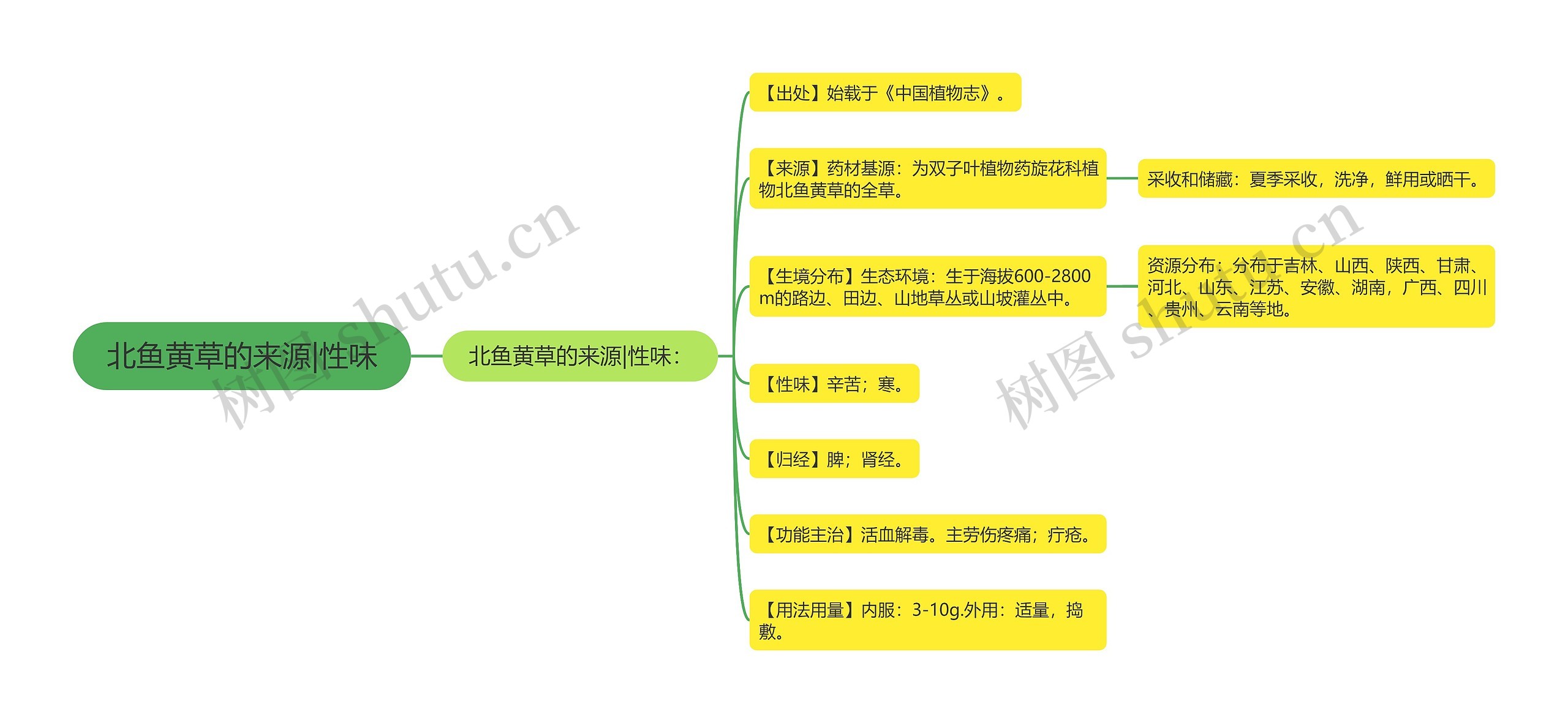 北鱼黄草的来源|性味思维导图
