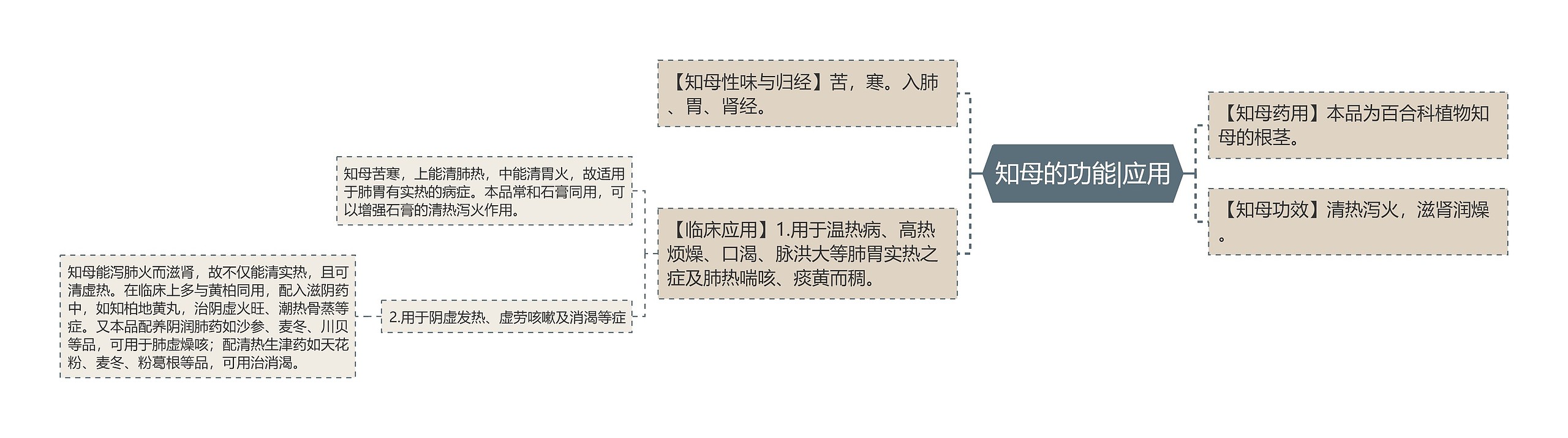 知母的功能|应用思维导图