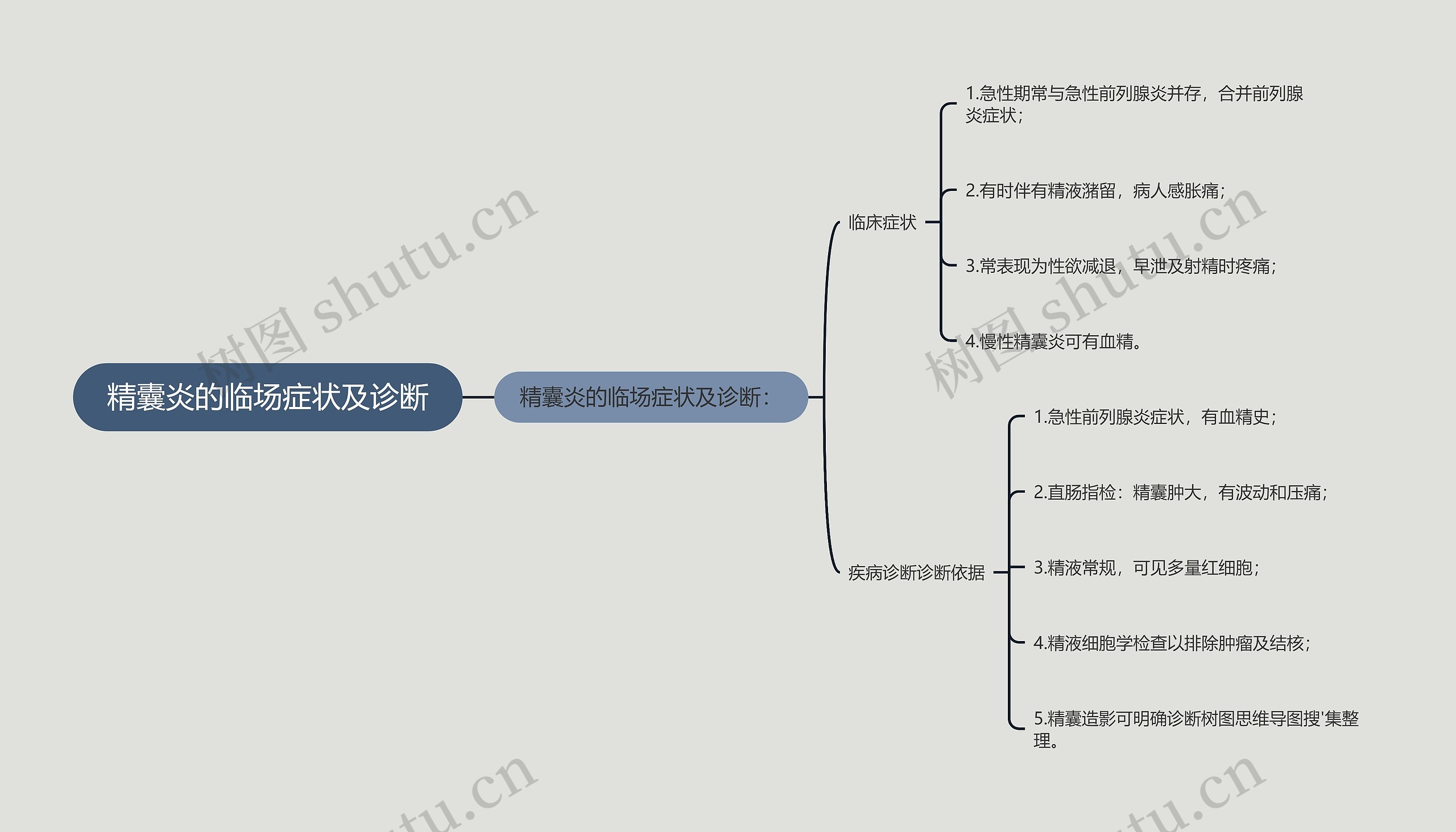 精囊炎的临场症状及诊断思维导图