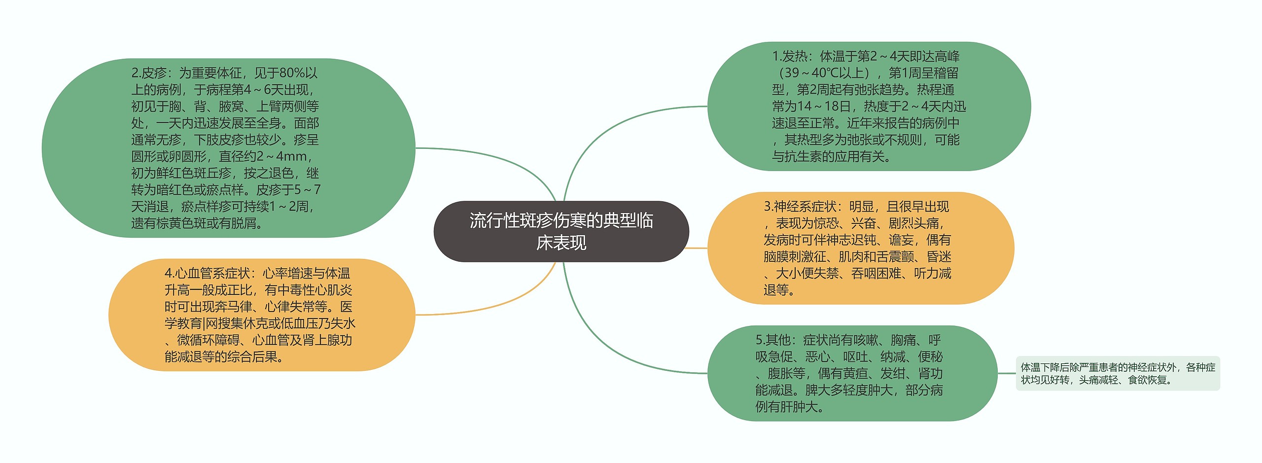 流行性斑疹伤寒的典型临床表现思维导图