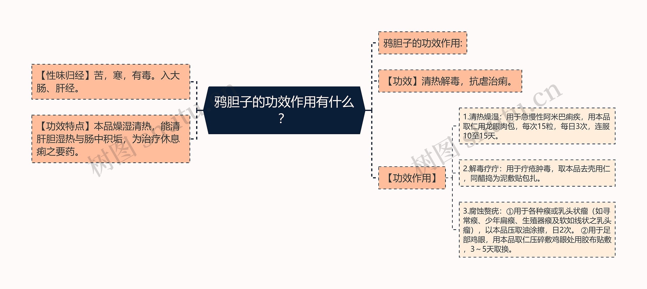 鸦胆子的功效作用有什么？