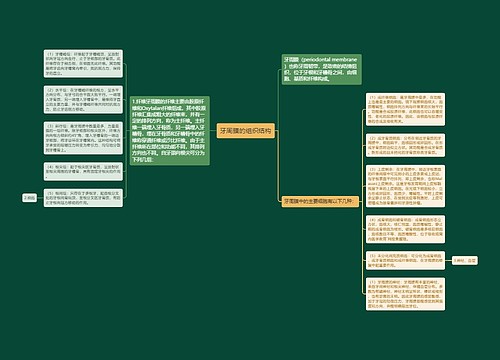 牙周膜的组织结构