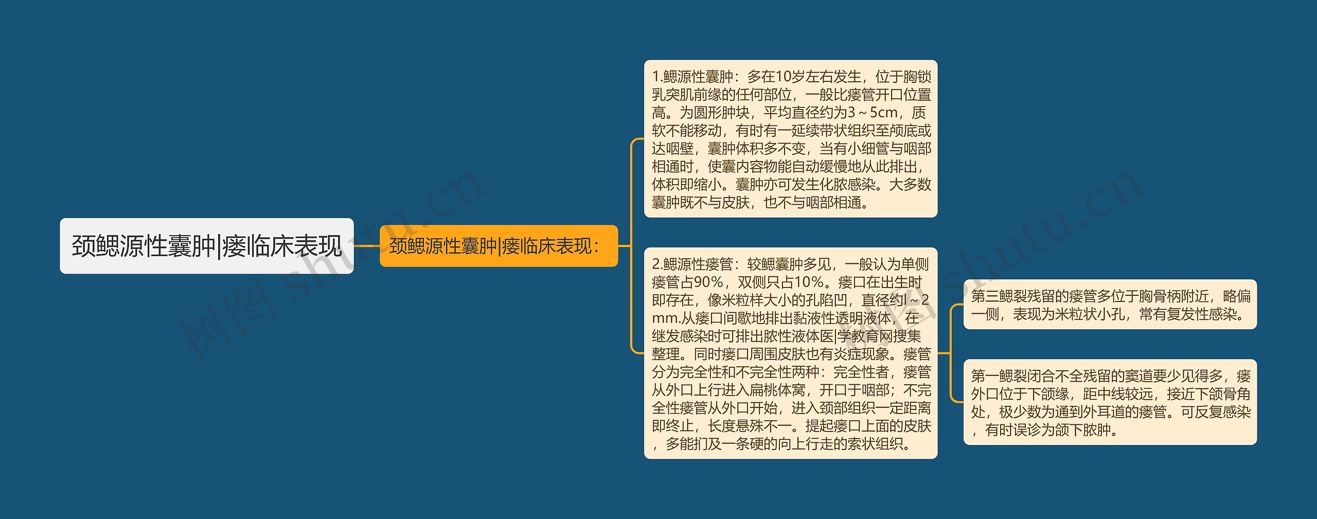 颈鳃源性囊肿|瘘临床表现 颈鳃源性囊肿|瘘临床表现