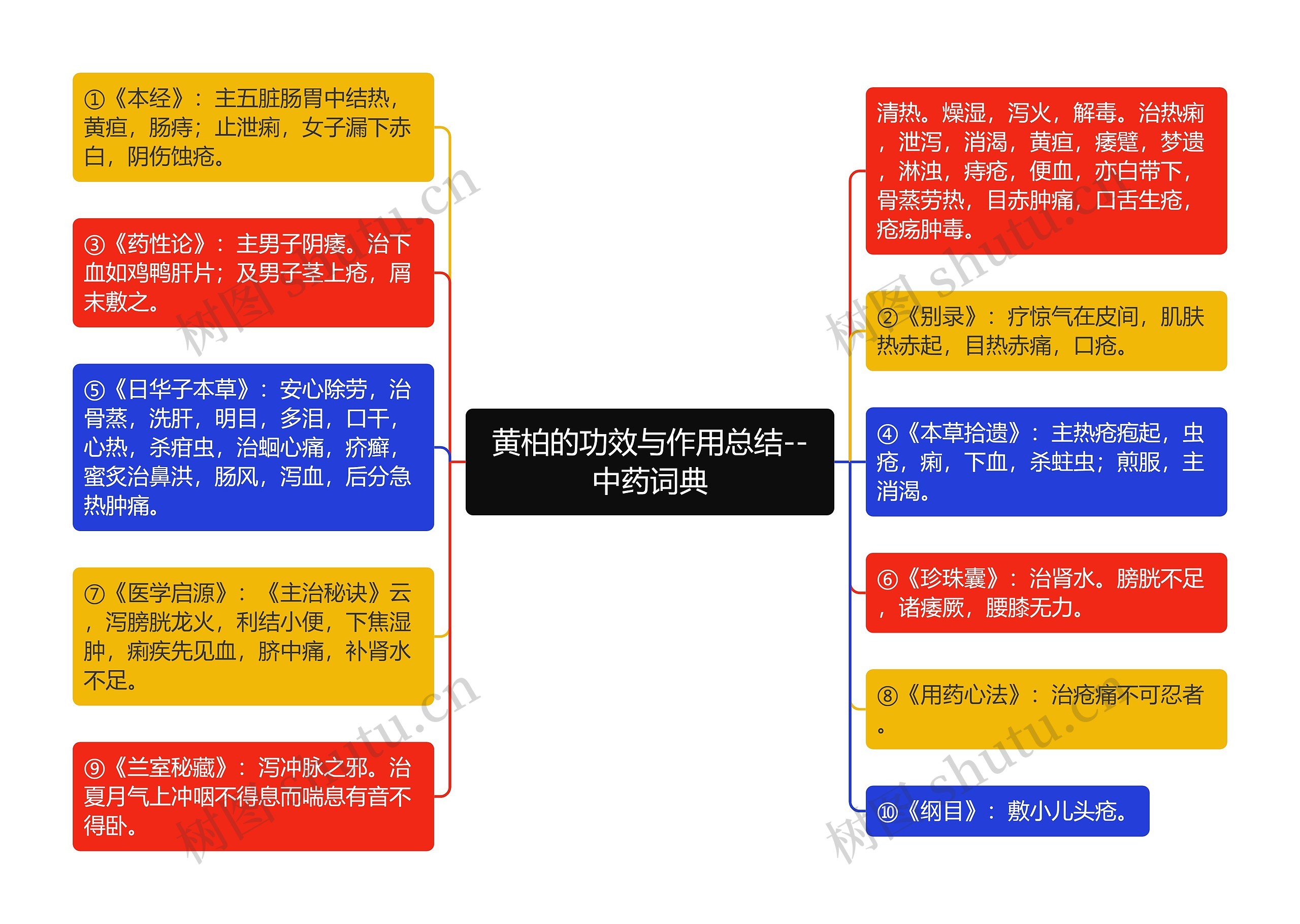 黄柏的功效与作用总结--中药词典思维导图