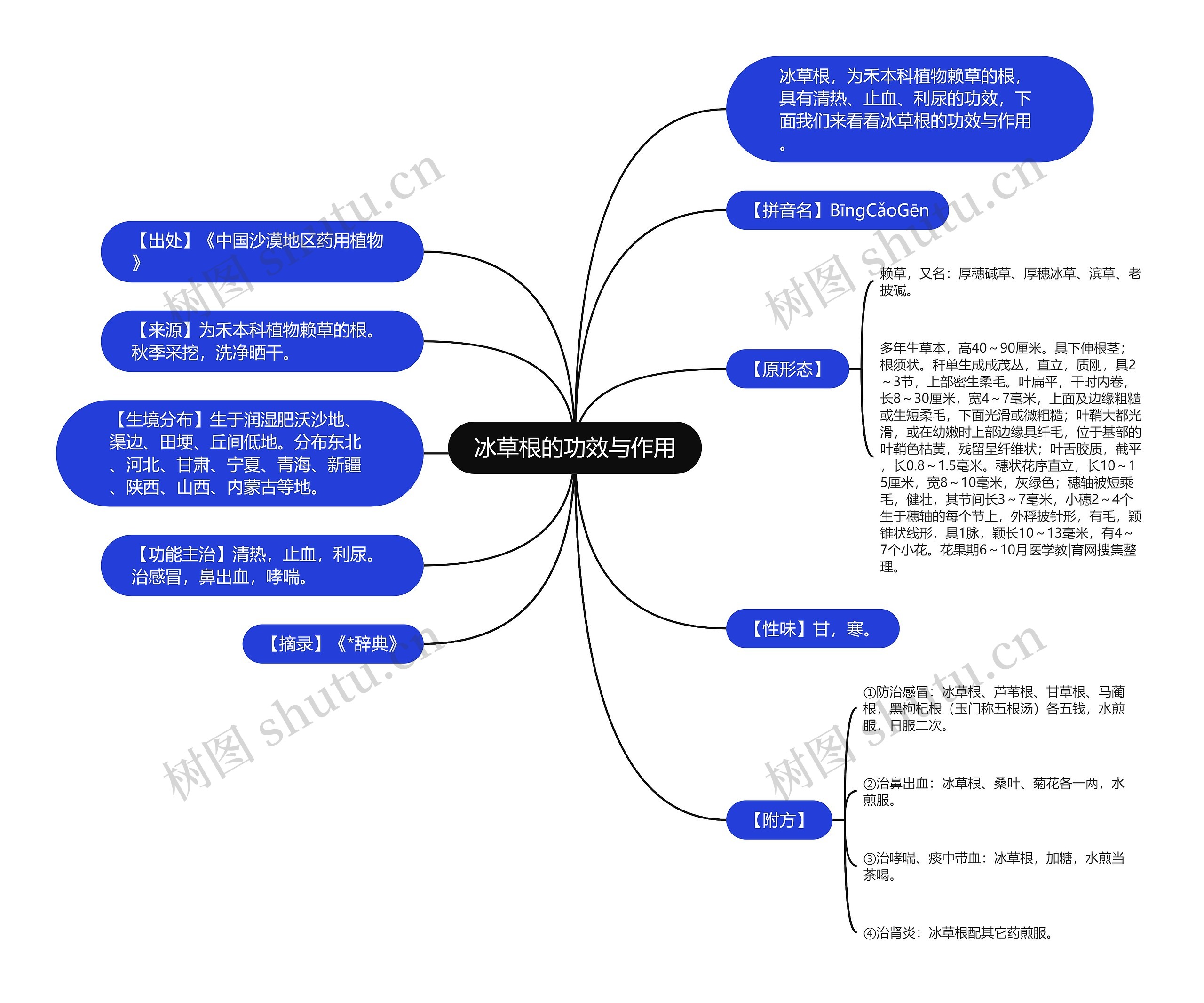 冰草根的功效与作用思维导图