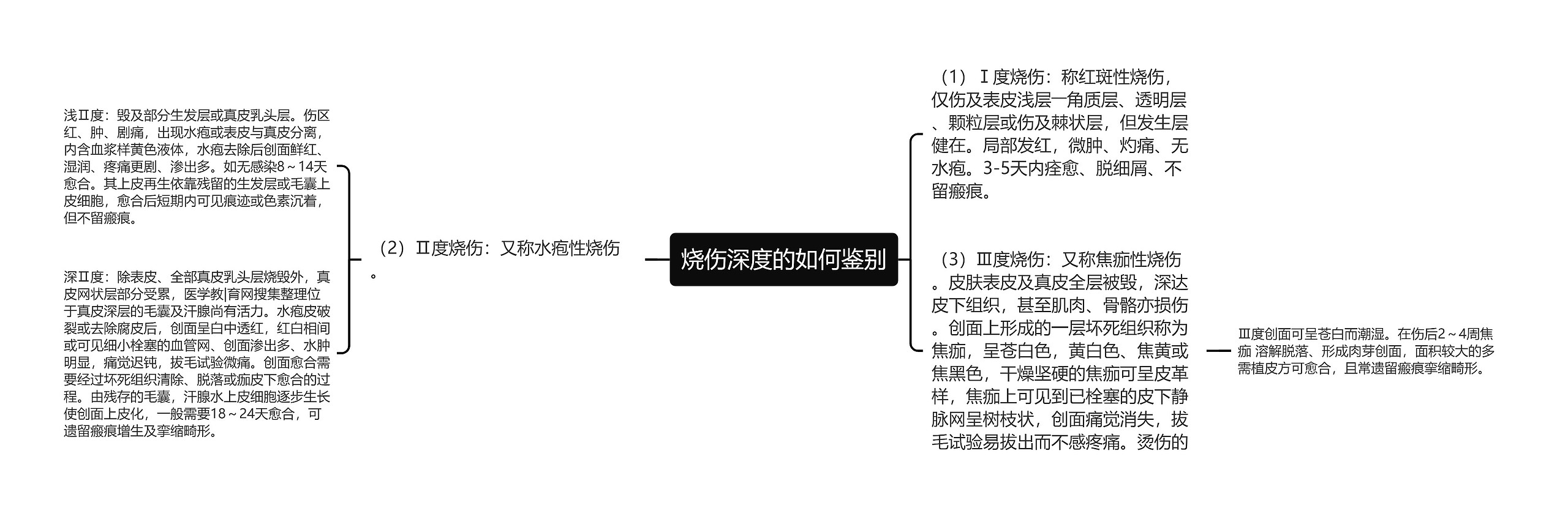 烧伤深度的如何鉴别思维导图