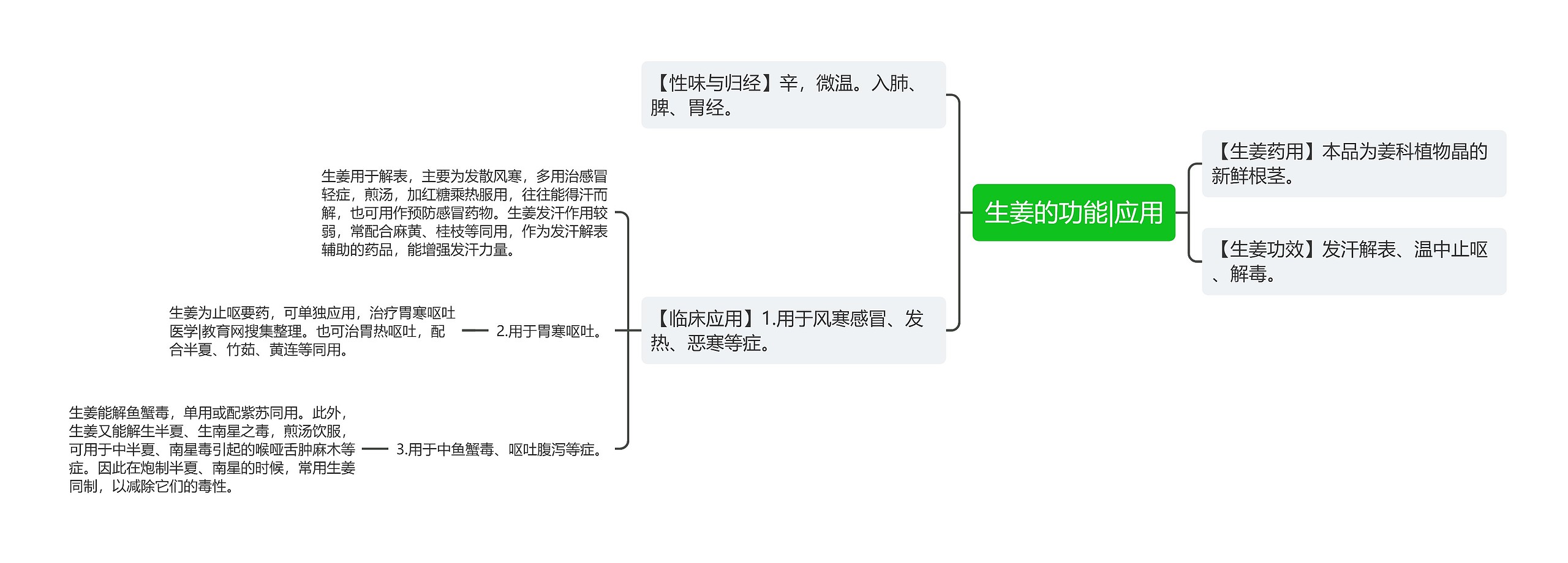 生姜的功能|应用思维导图