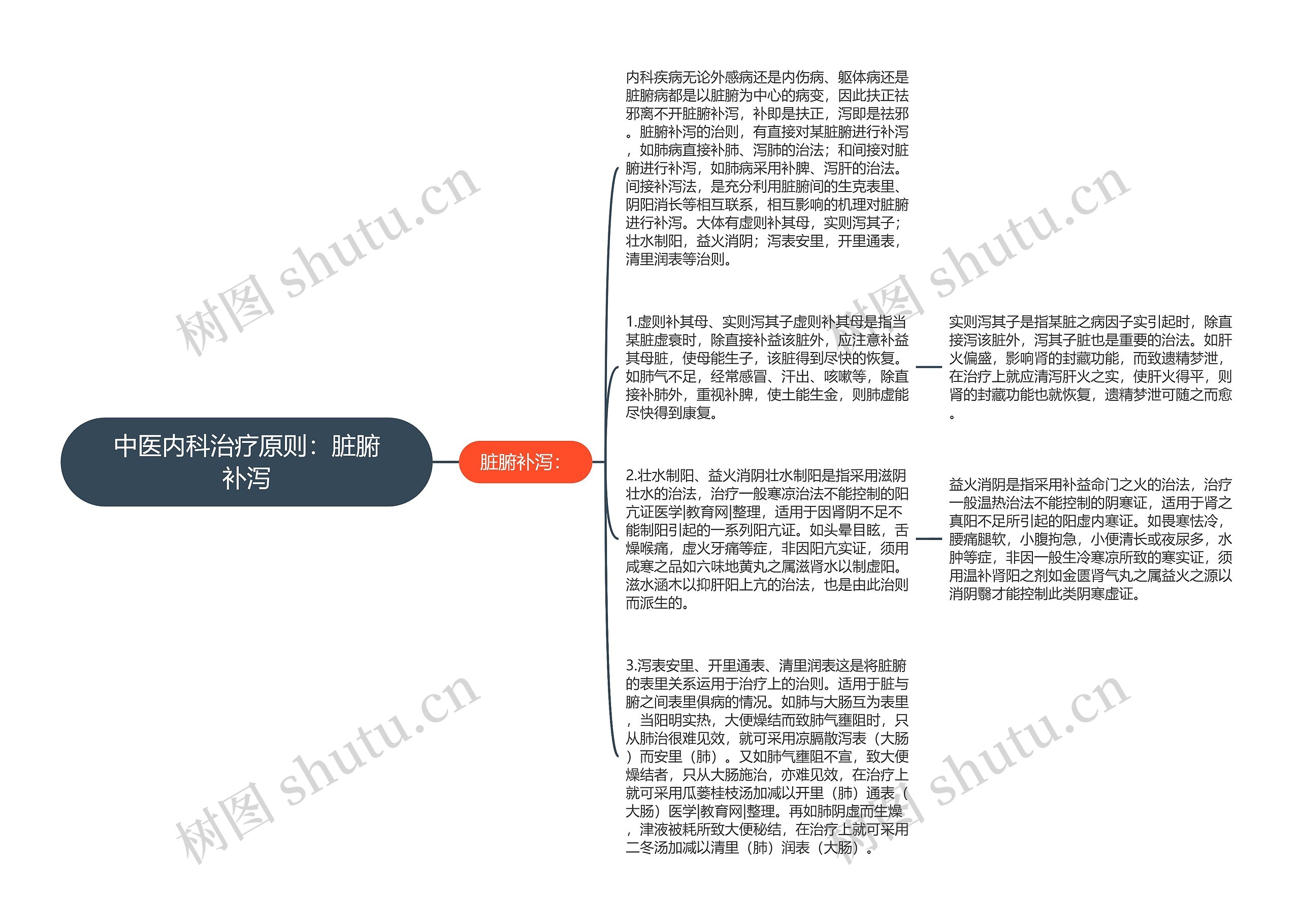 中医内科治疗原则：脏腑补泻思维导图