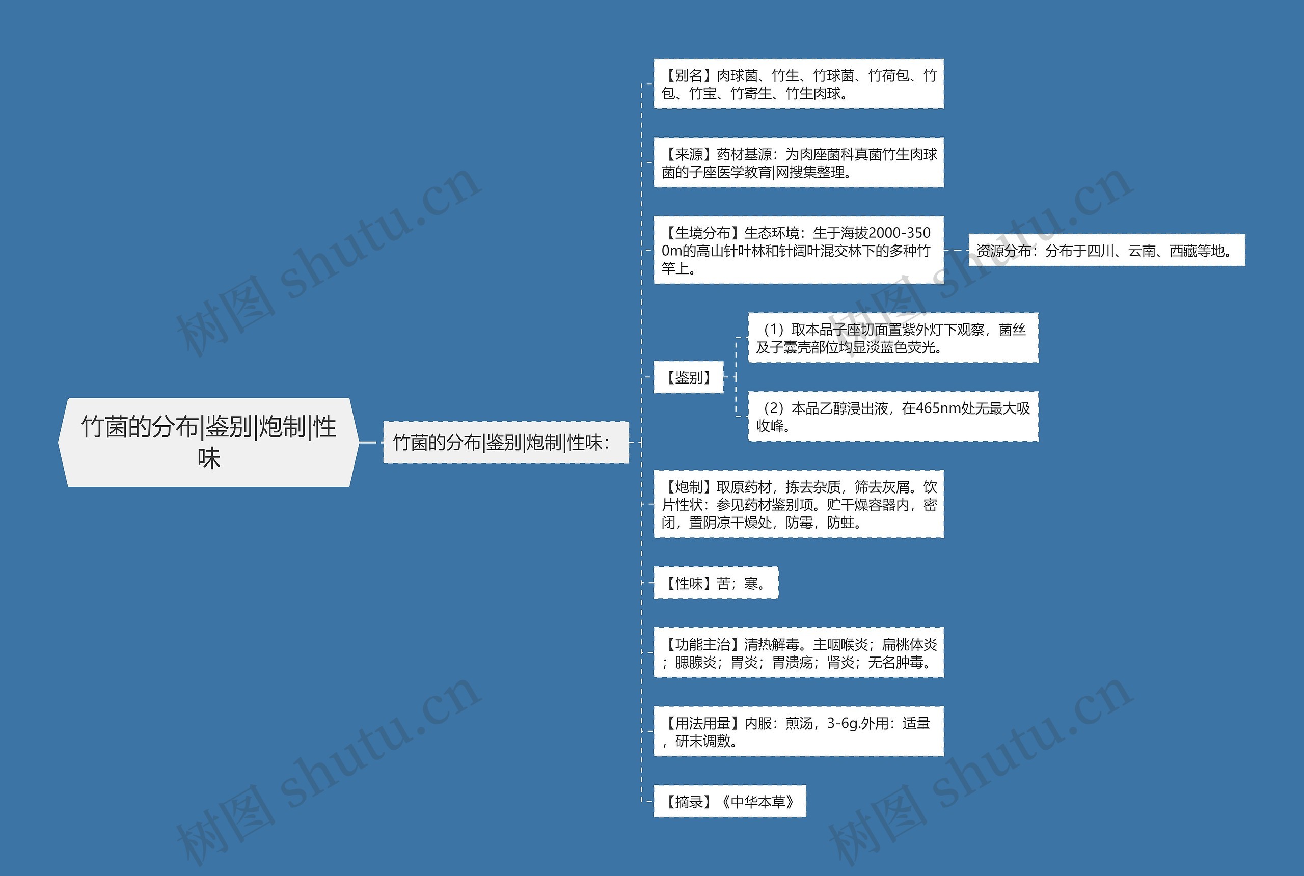 竹菌的分布|鉴别|炮制|性味思维导图