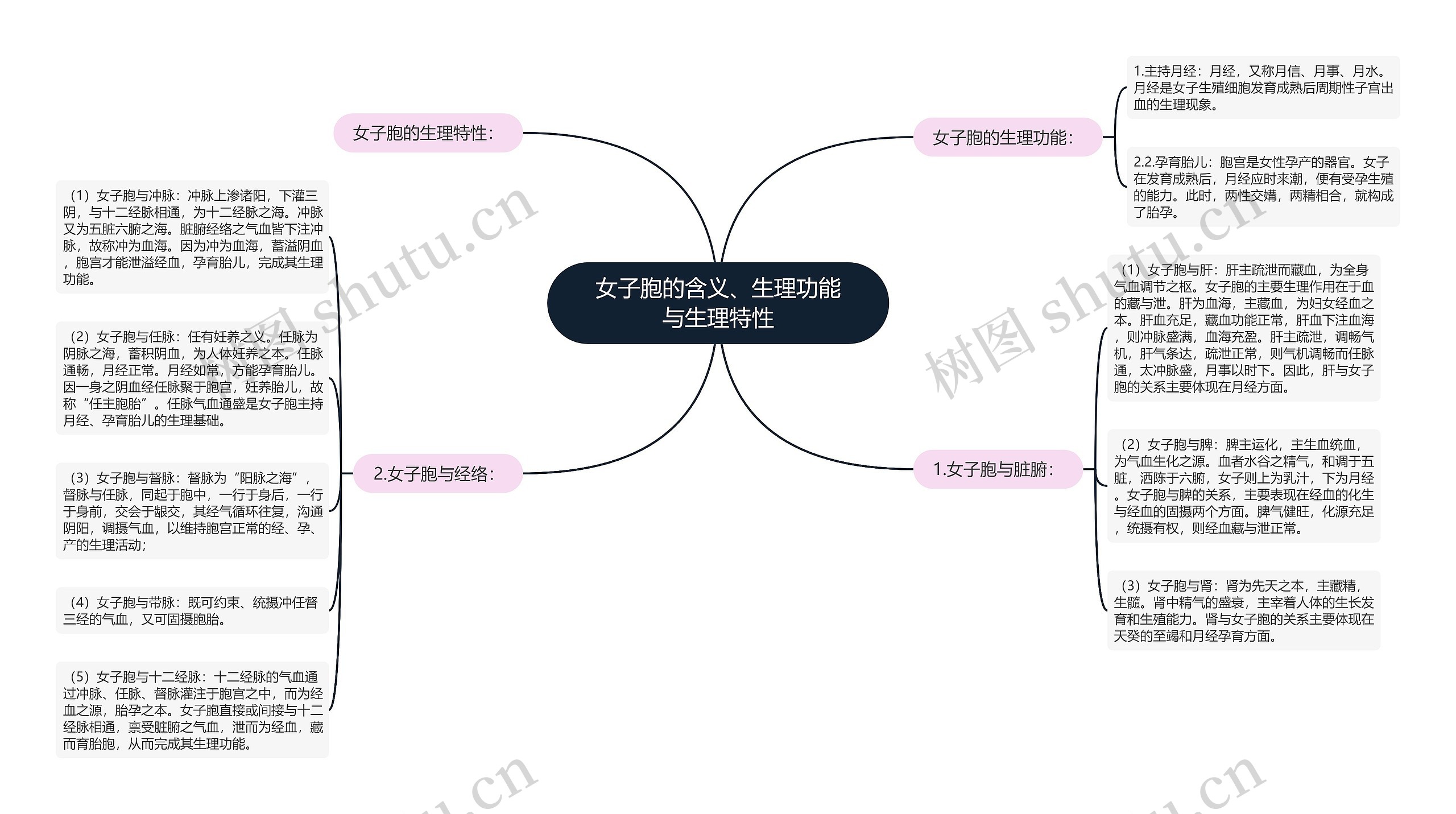 女子胞的含义、生理功能与生理特性