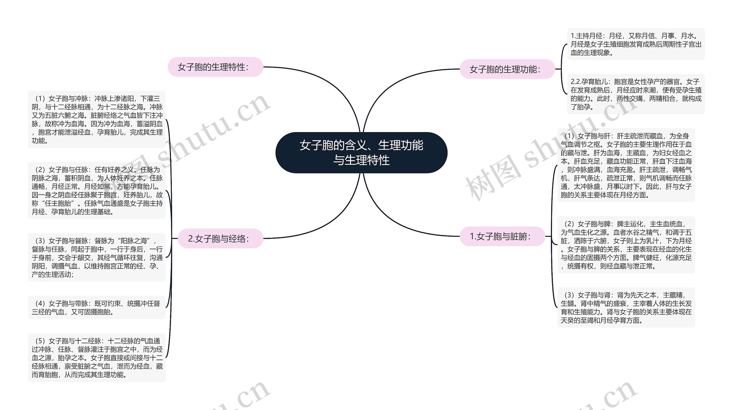 女子胞的含义、生理功能与生理特性思维导图