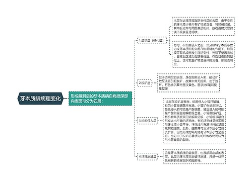 牙本质龋病理变化