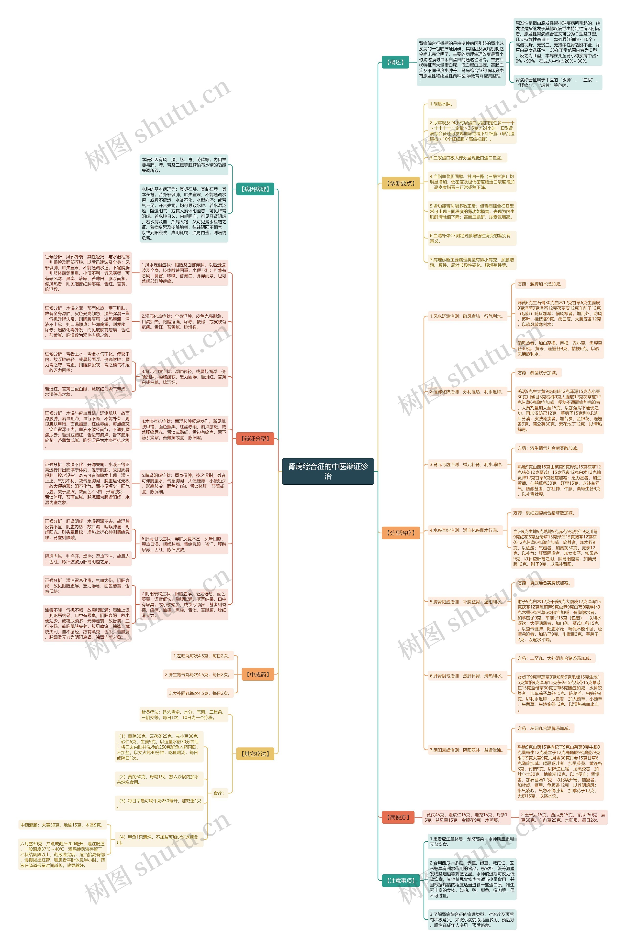 肾病综合征的中医辩证诊治思维导图