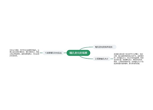 瞳孔变化的观察