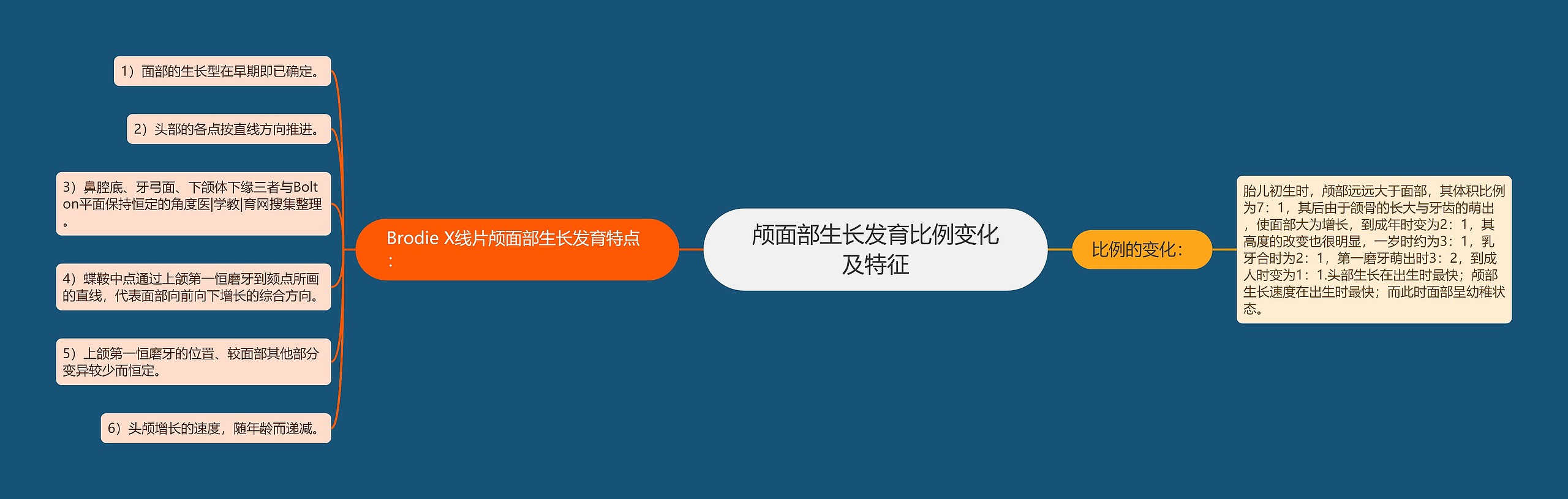 颅面部生长发育比例变化及特征思维导图